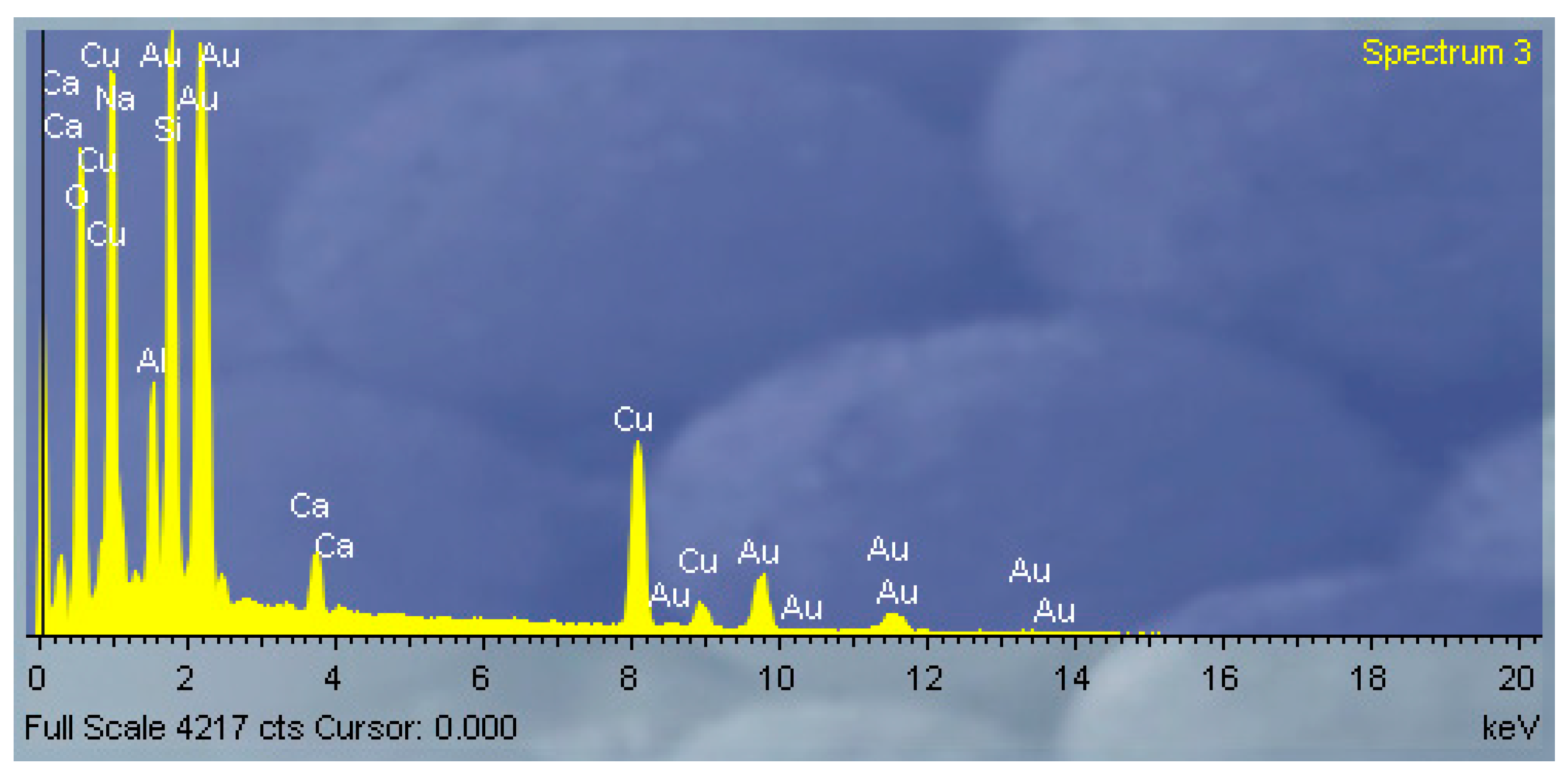 Molecules 30 02138 g004