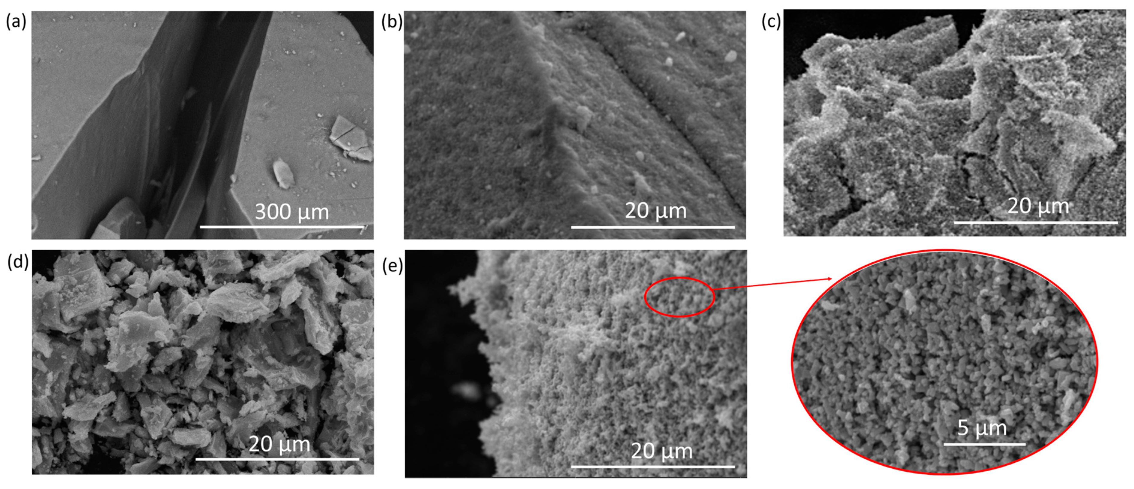 Molecules 30 02153 g001