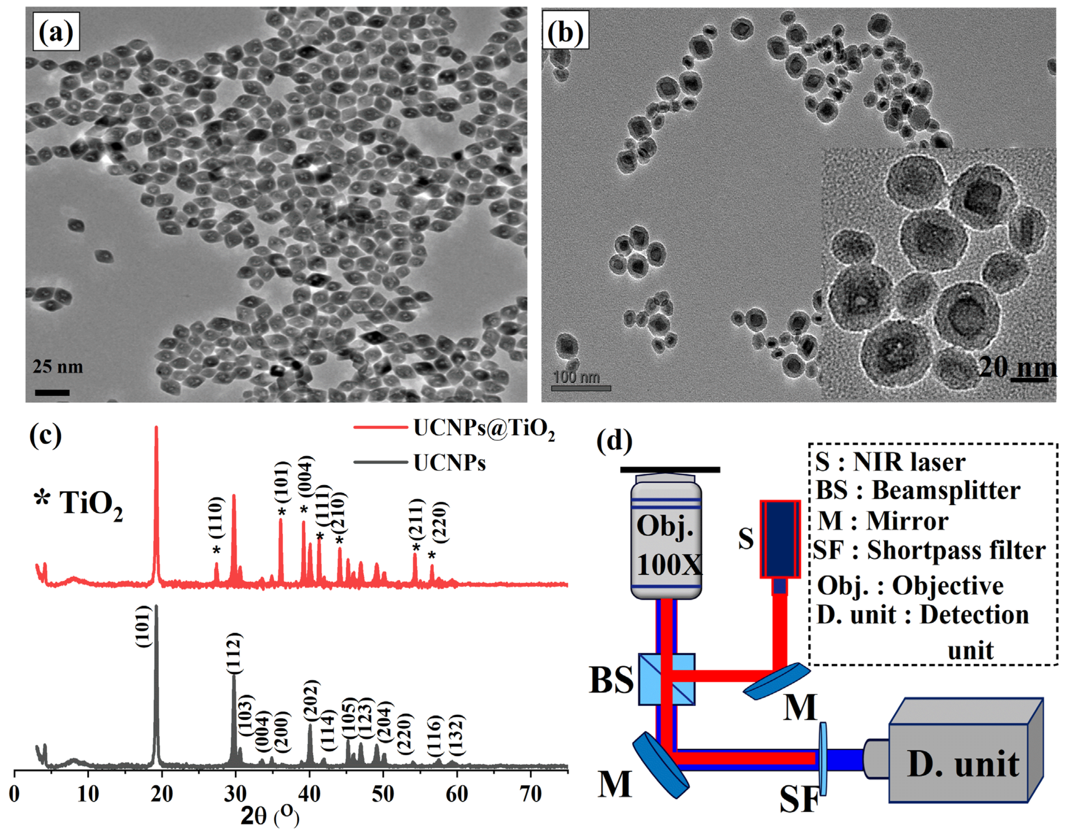 Molecules 30 02166 g002