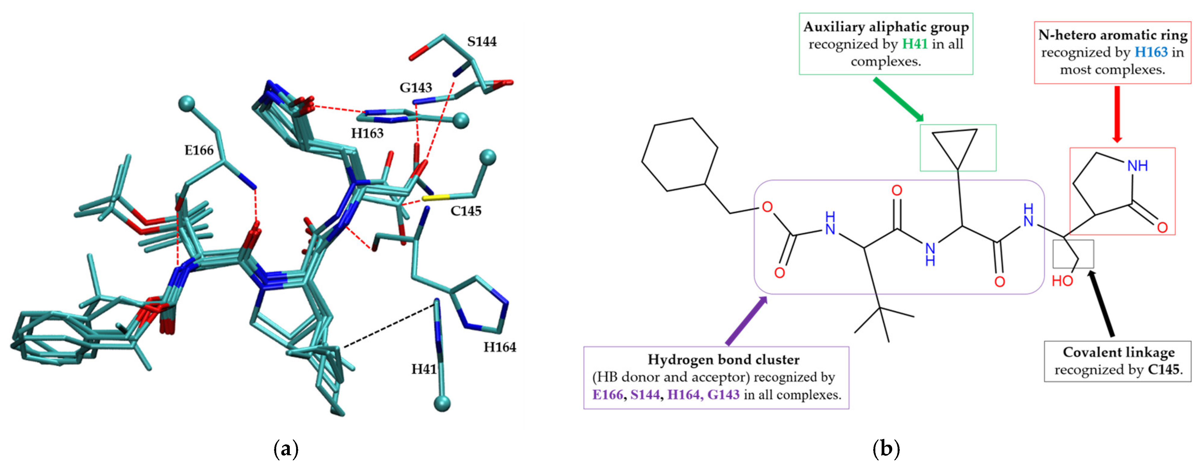 Molecules 30 02174 g006