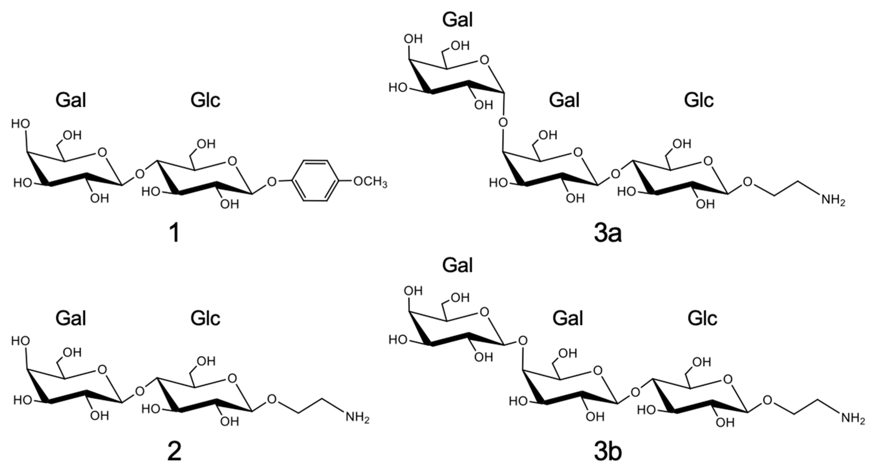 Molecules 30 02177 g001