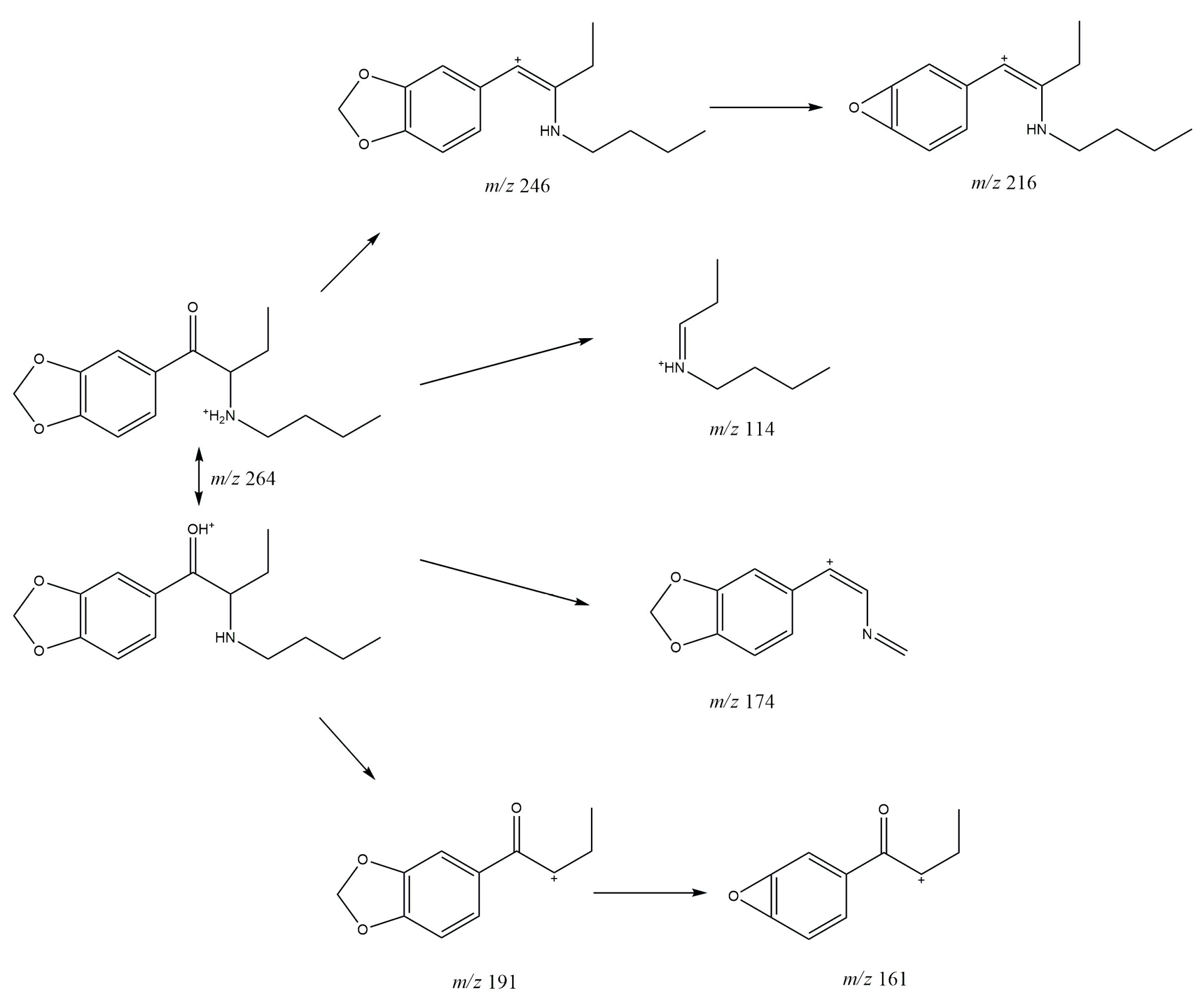 Molecules 30 02182 g008
