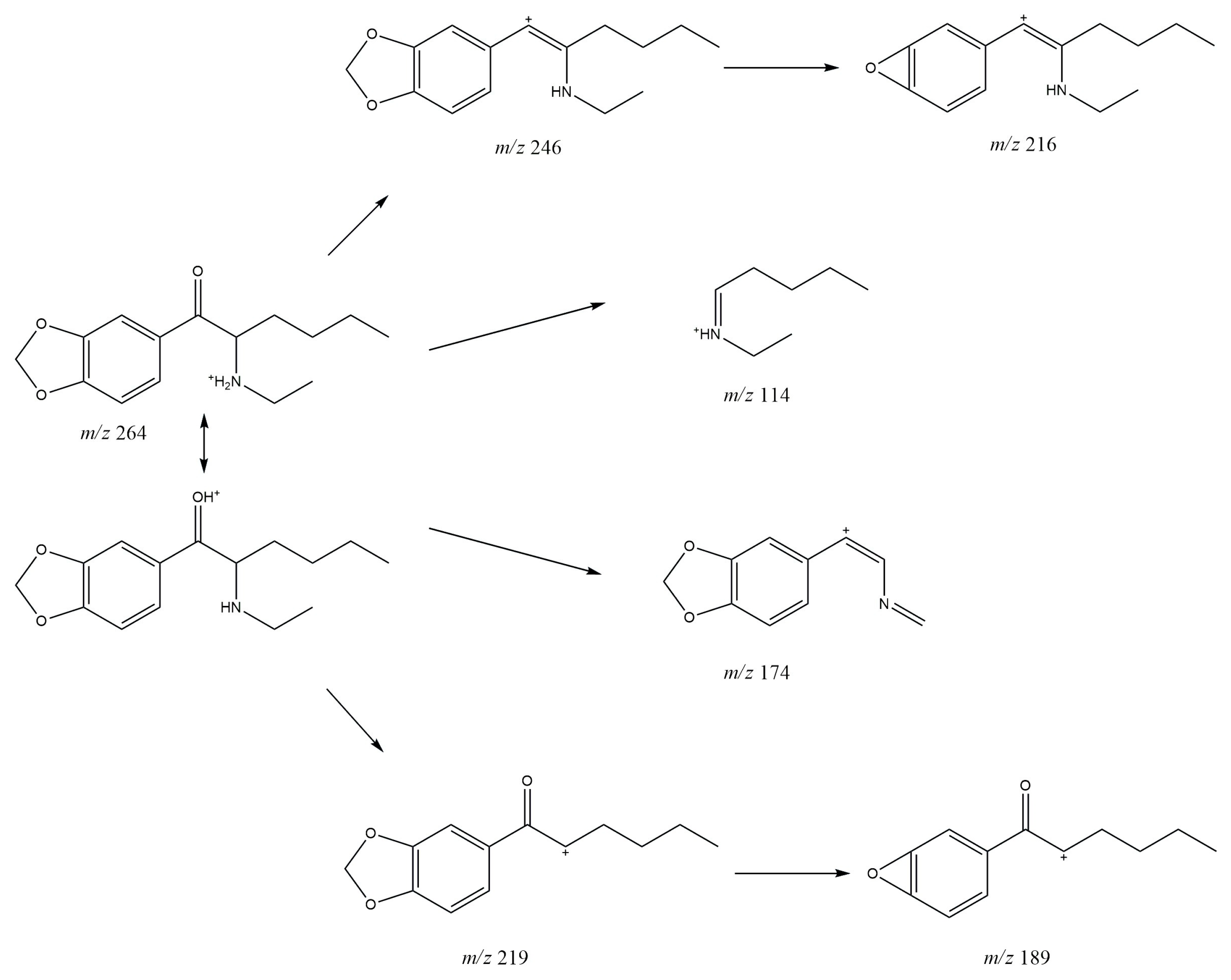 Molecules 30 02182 g009