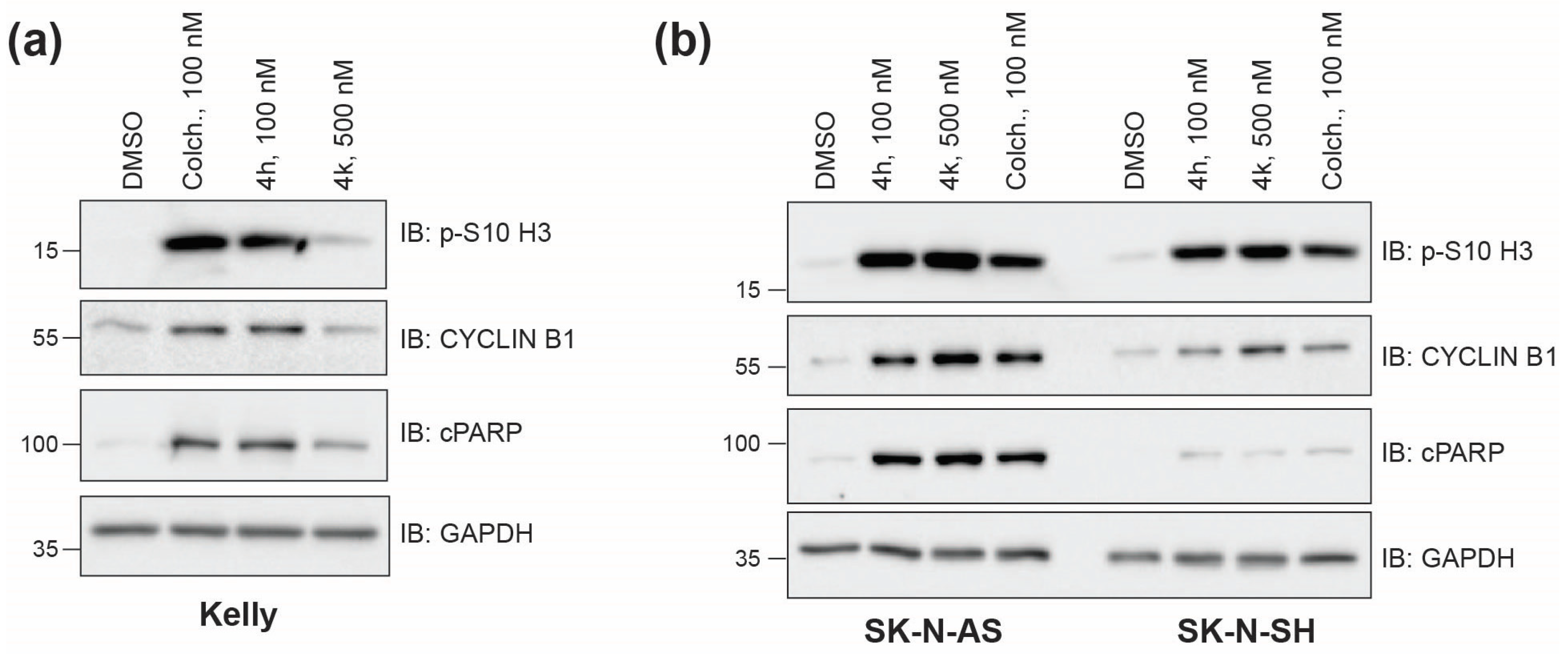 Molecules 30 02186 g002