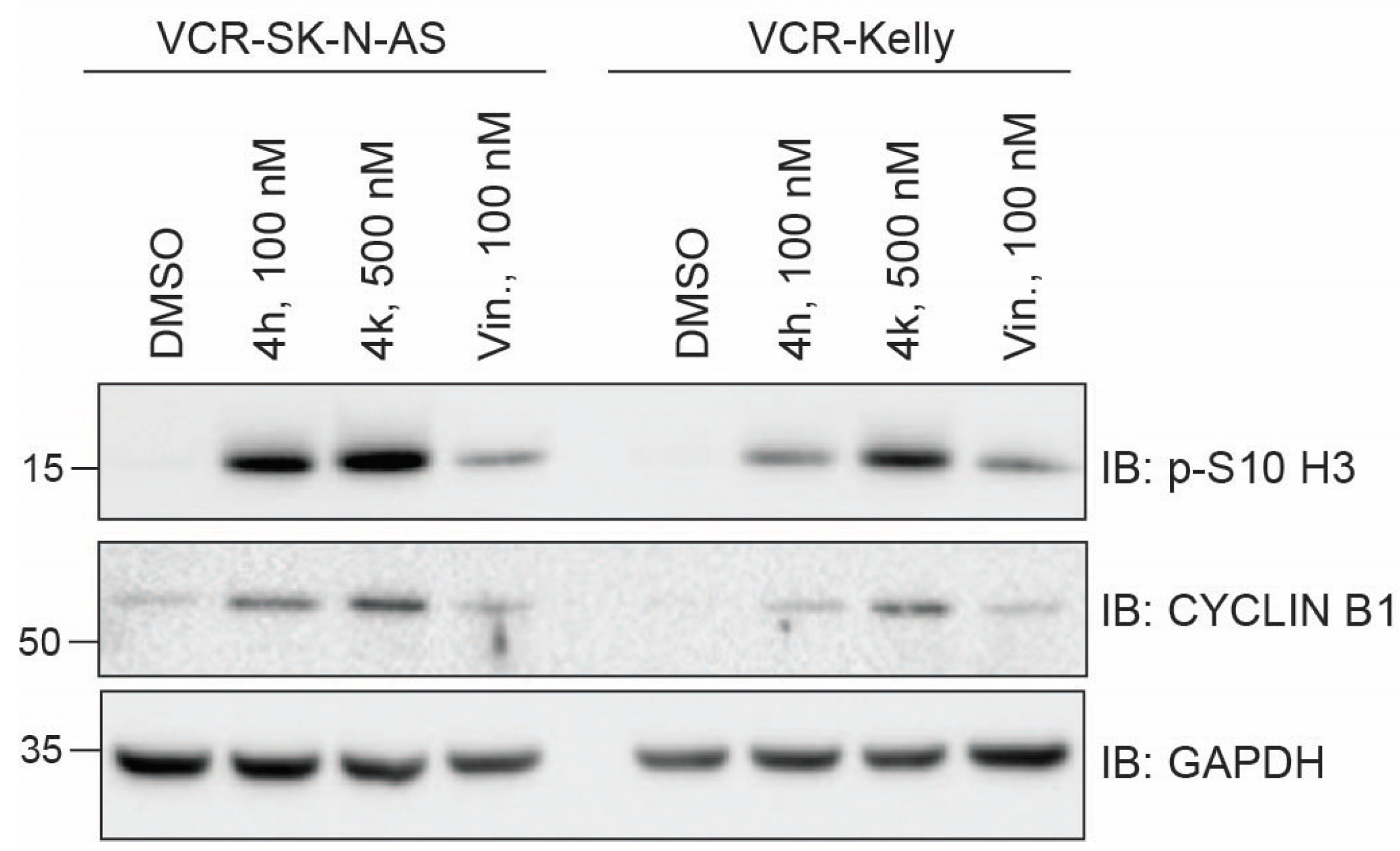 Molecules 30 02186 g006