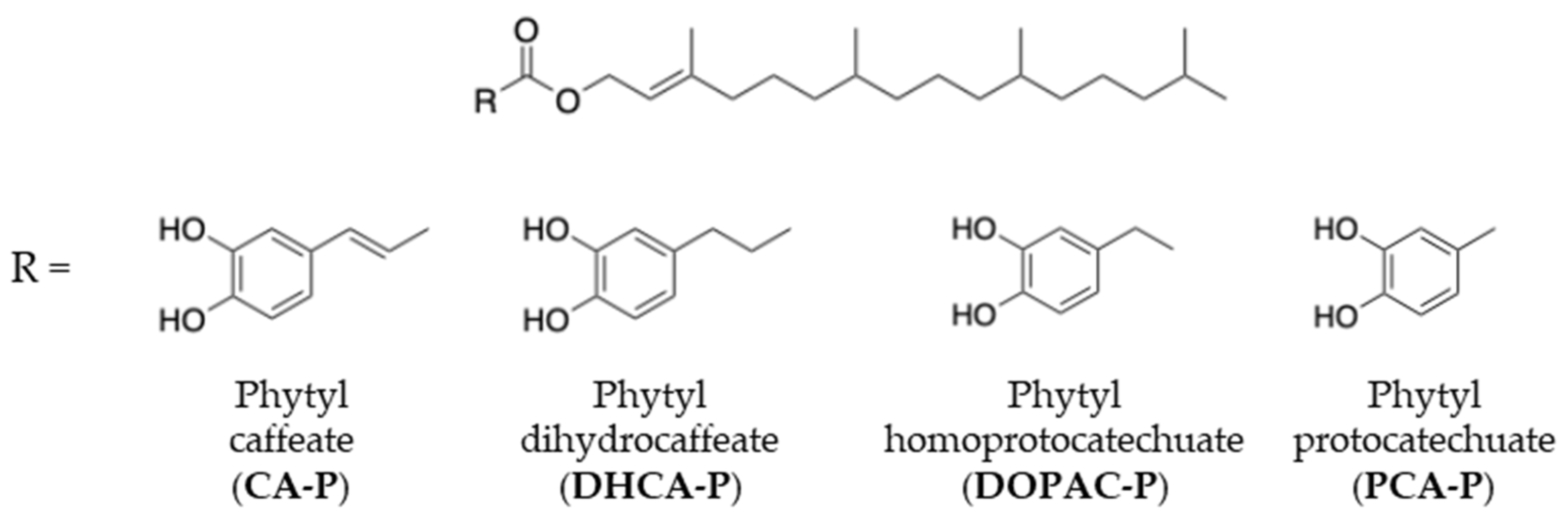 Molecules 30 02193 g001