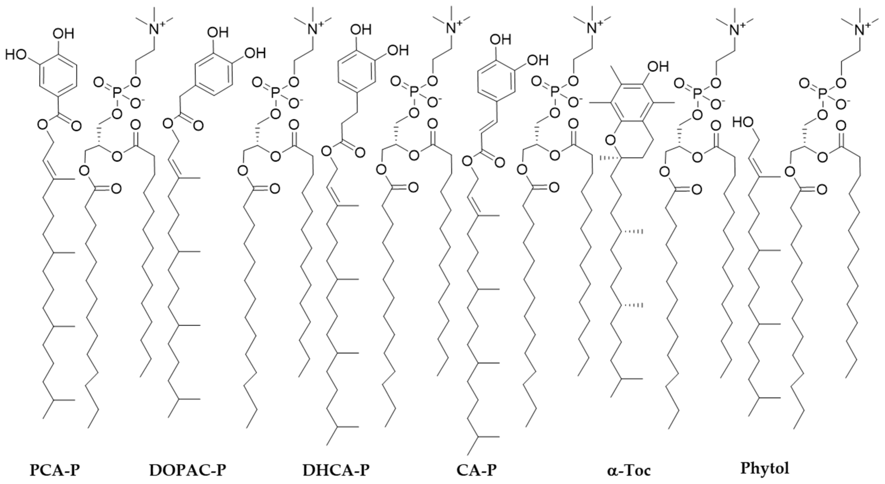 Molecules 30 02193 g006