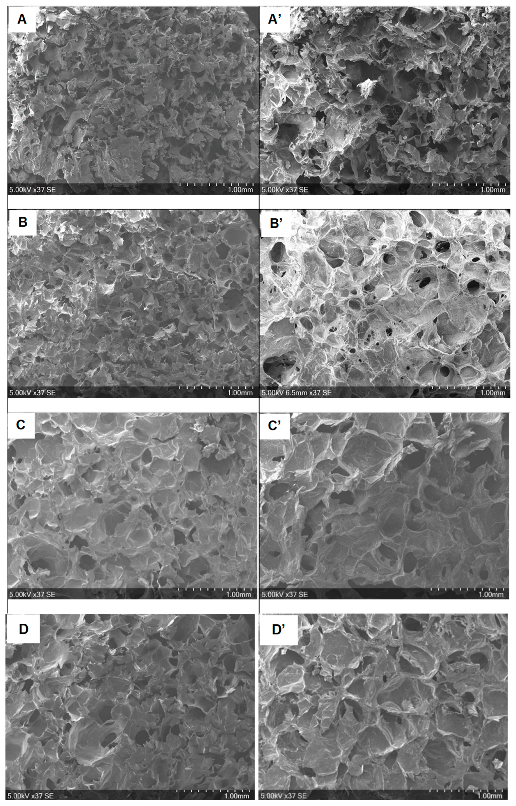 Molecules 30 02202 g003