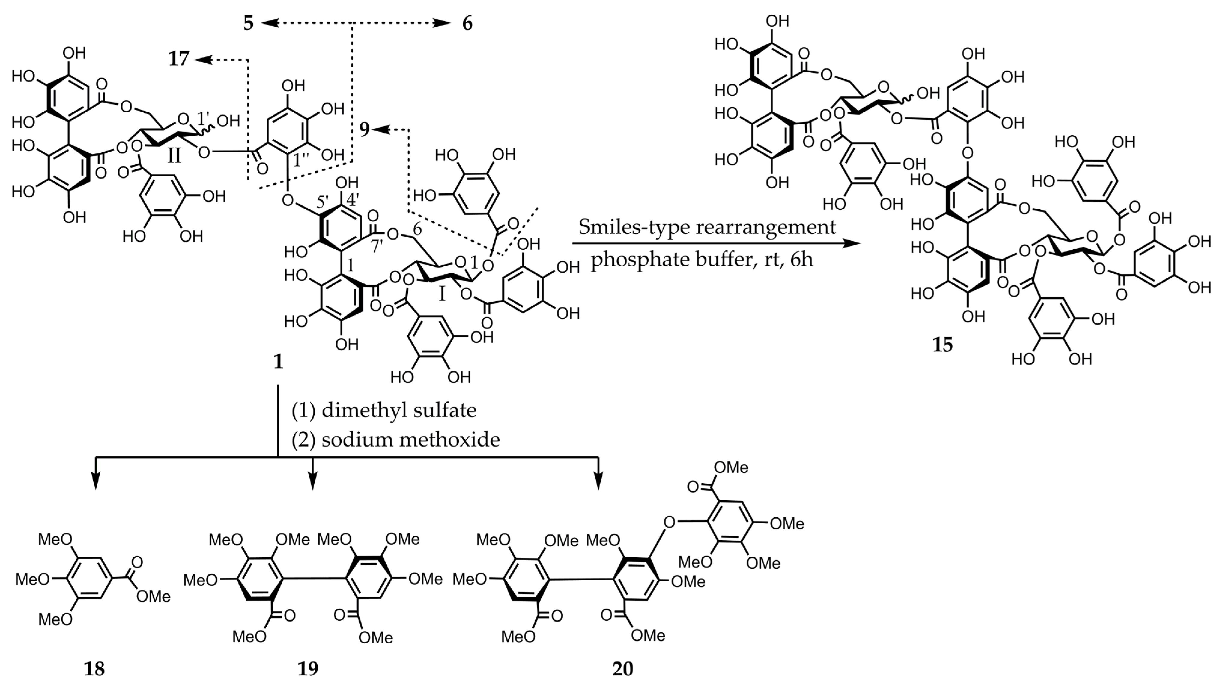 Molecules 30 02216 g002 Molecules 30 02216 g002