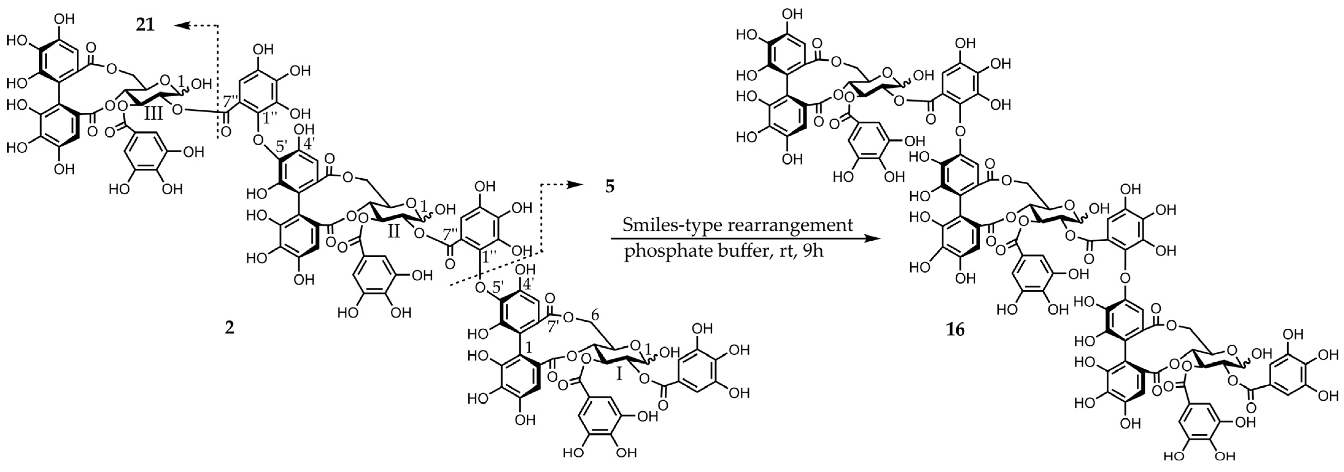 Molecules 30 02216 g003 Molecules 30 02216 g003