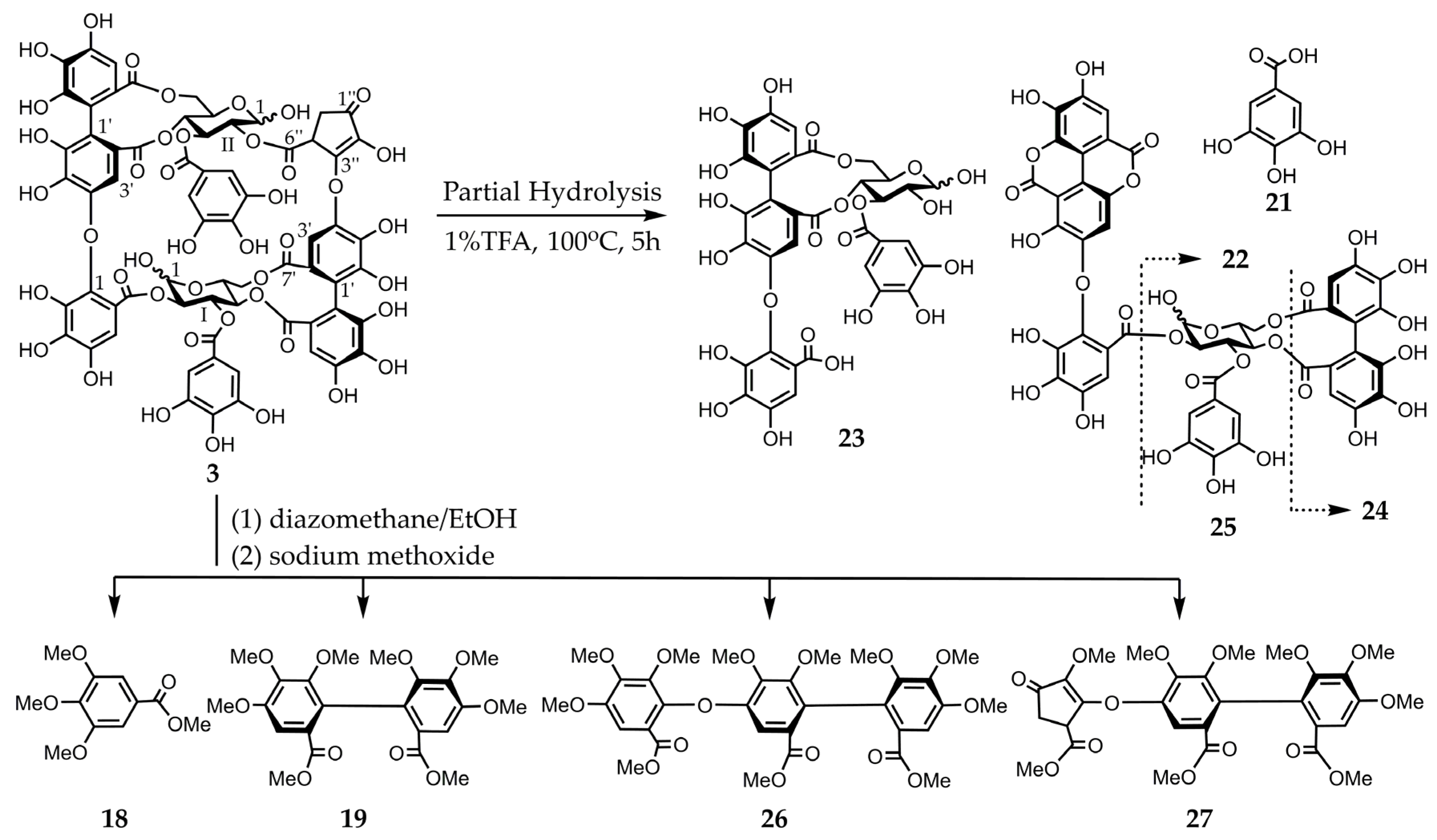 Molecules 30 02216 g004 Molecules 30 02216 g004