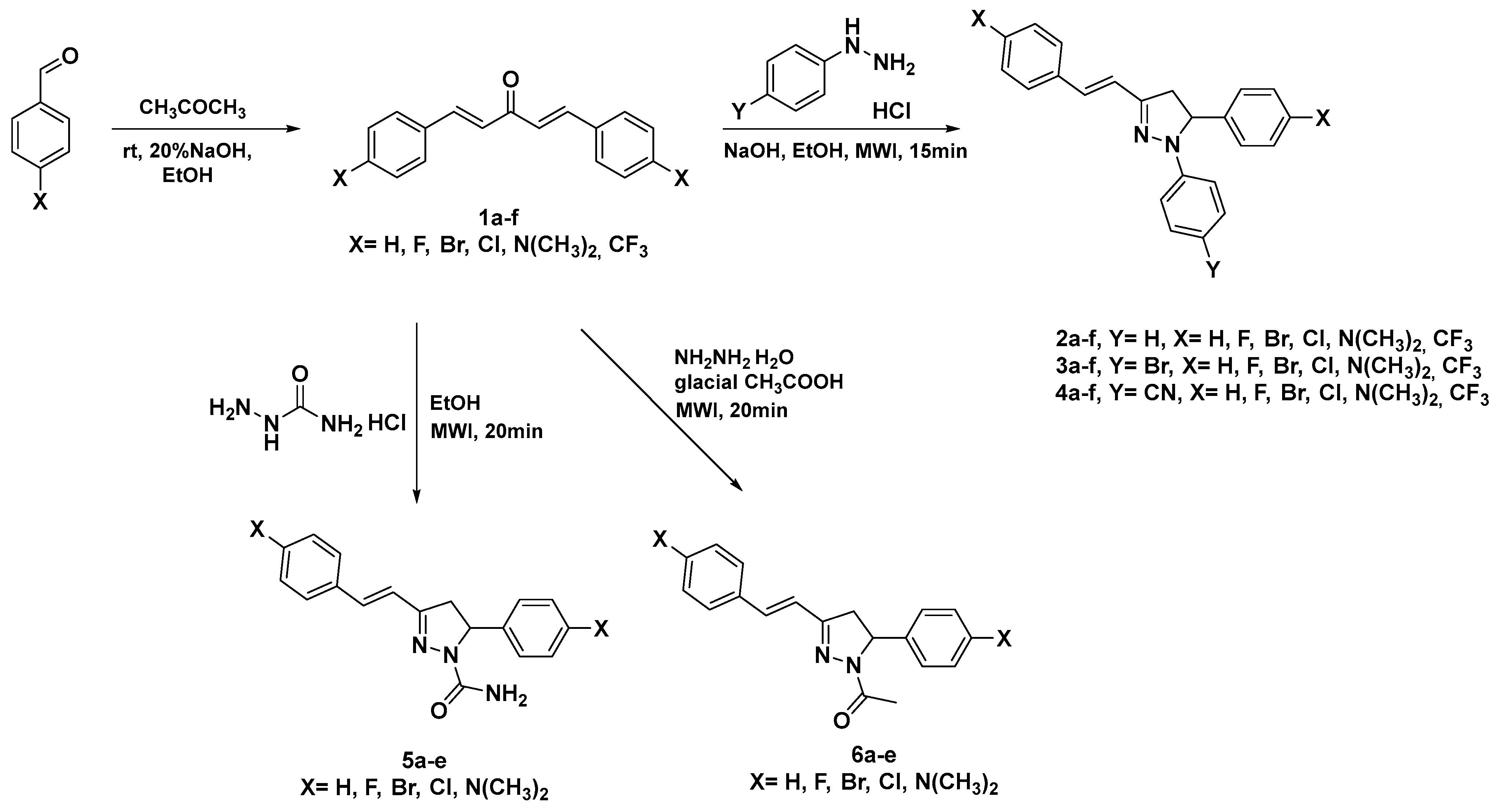 Molecules 30 02224 sch001 Molecules 30 02224 sch001
