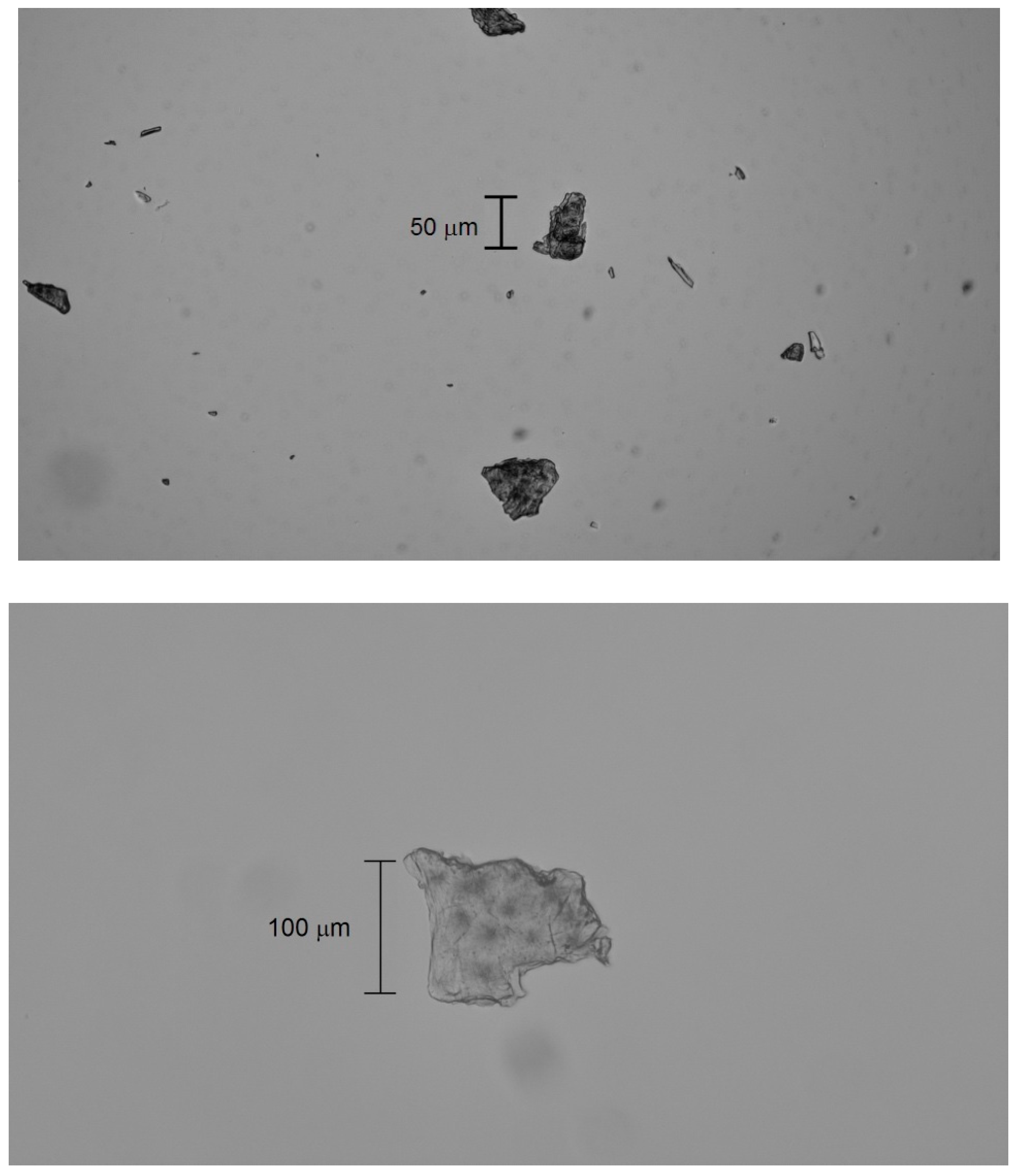 Molecules 30 02235 g004