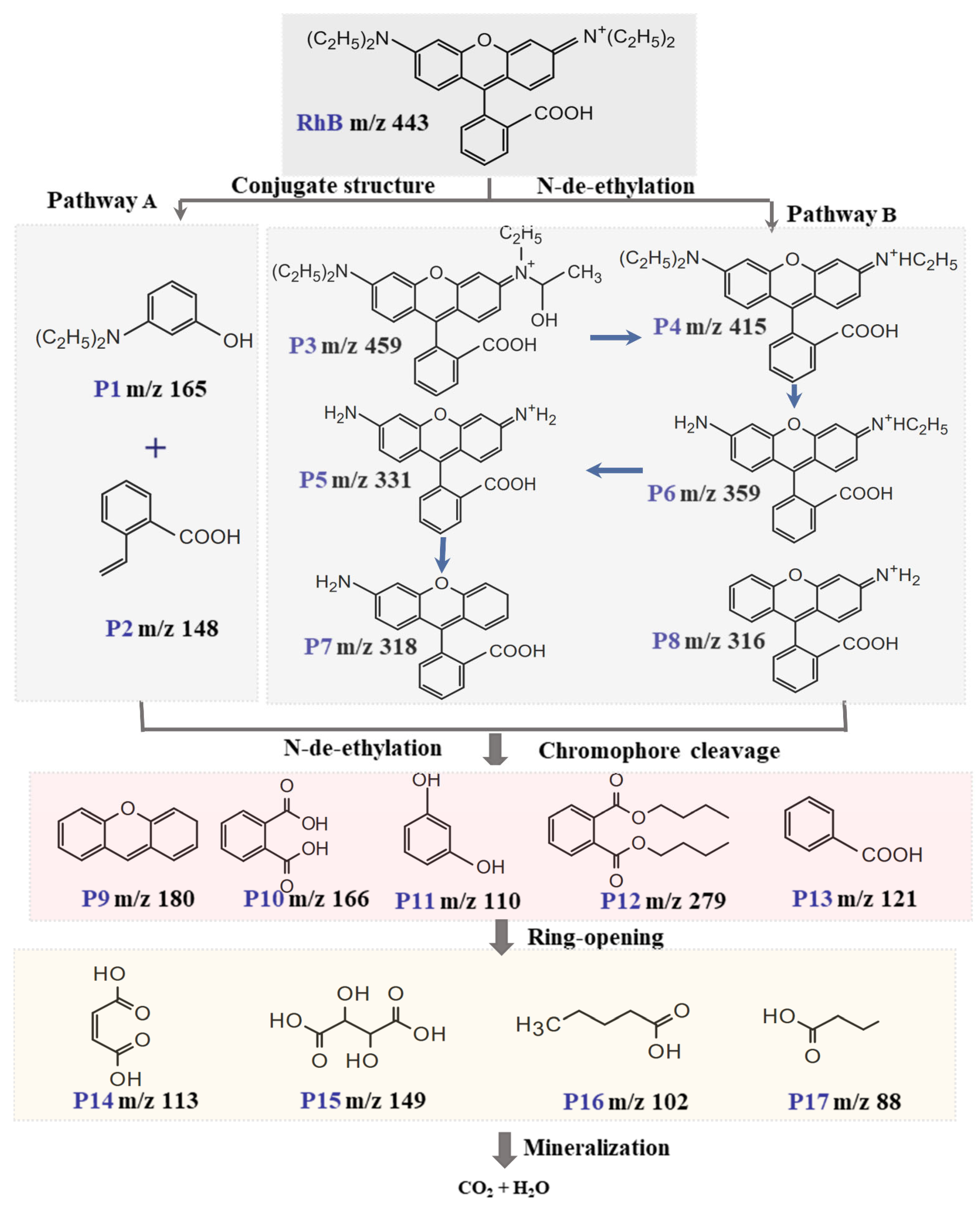 Molecules 30 02237 g009 Molecules 30 02237 g009