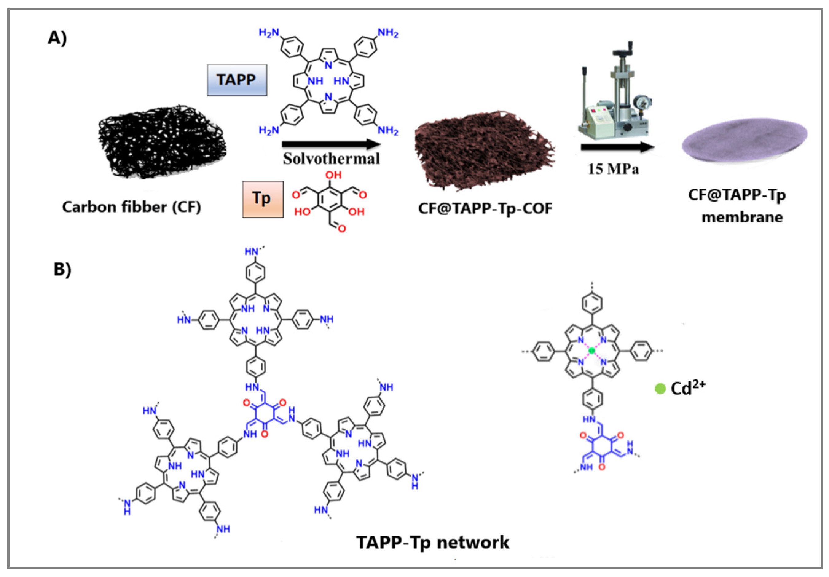 Molecules 30 02238 g004 Molecules 30 02238 g004