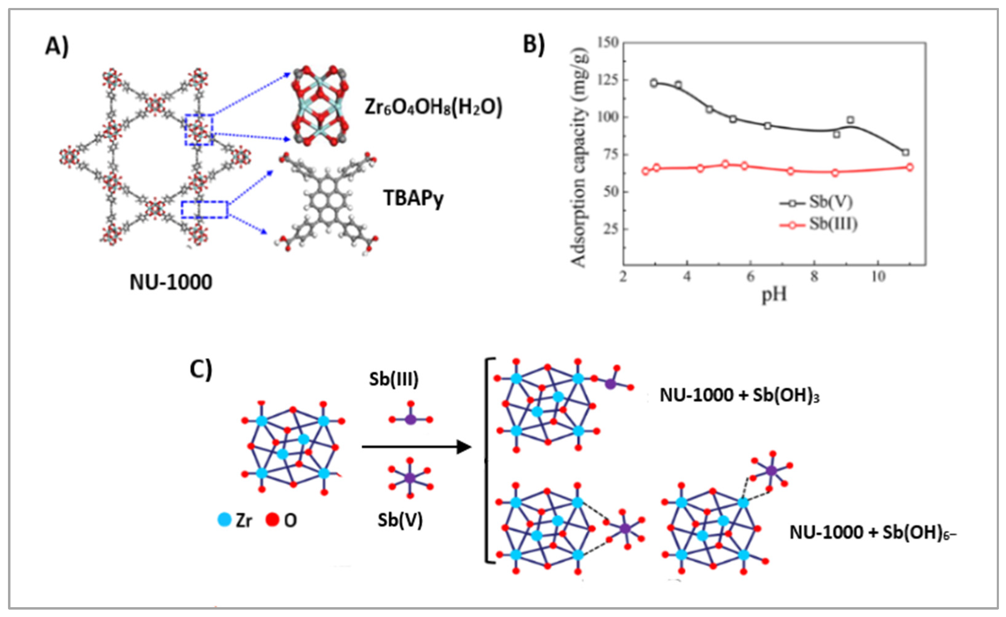 Molecules 30 02238 g006 Molecules 30 02238 g006