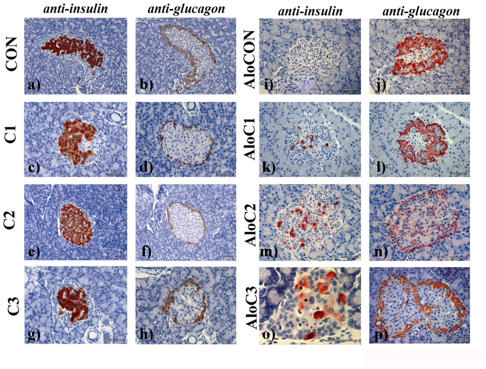 Molecules 30 02261 g004