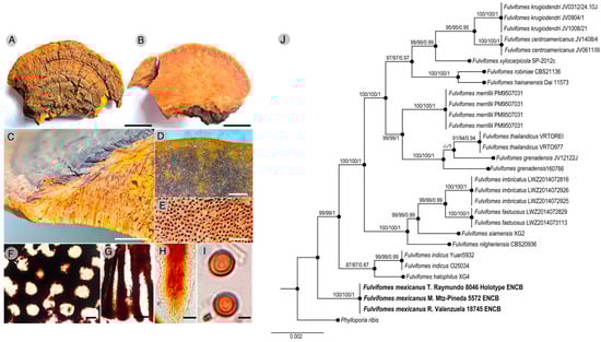 Molecules 30 02278 g001