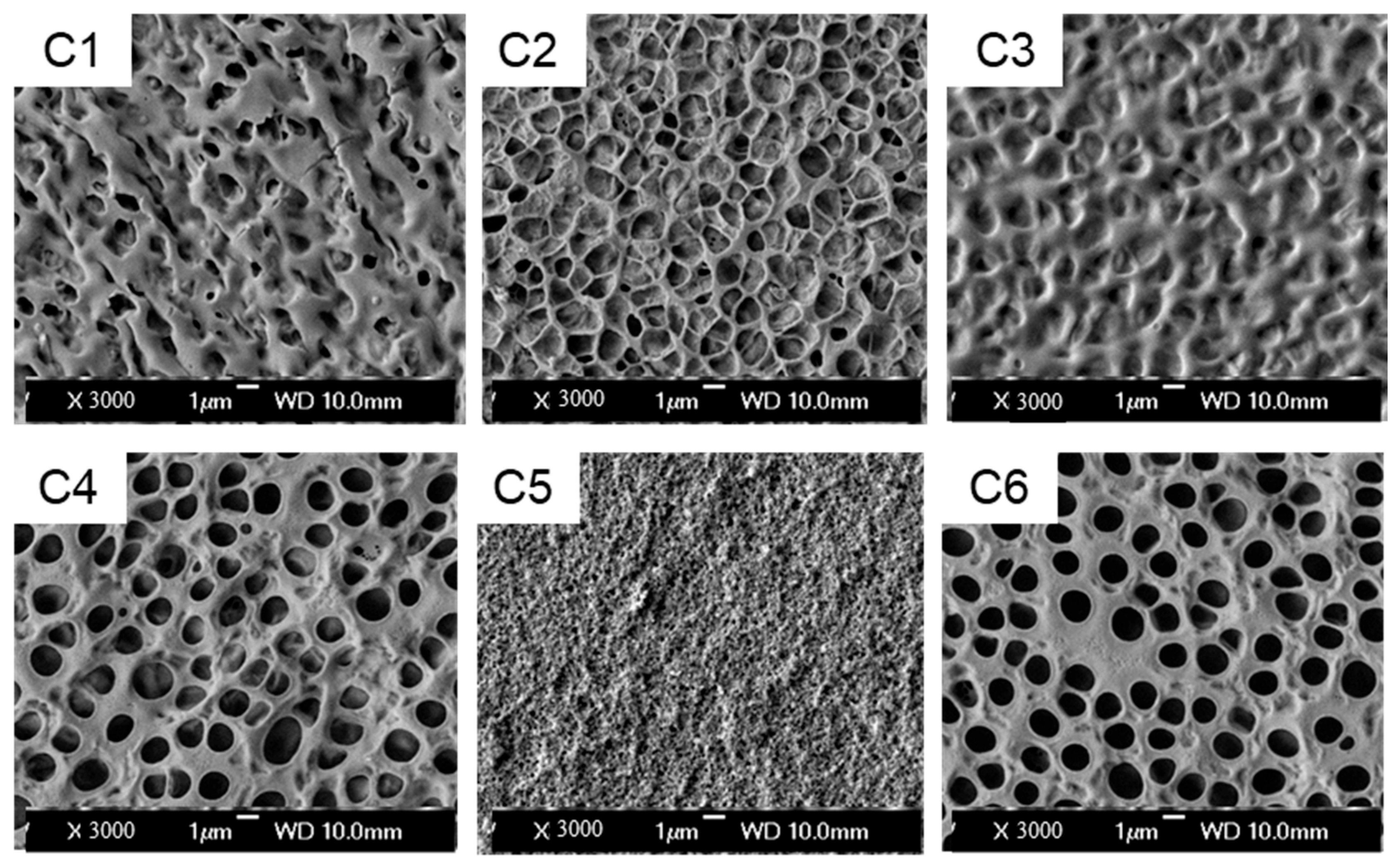 Molecules 30 02284 g002 Molecules 30 02284 g002