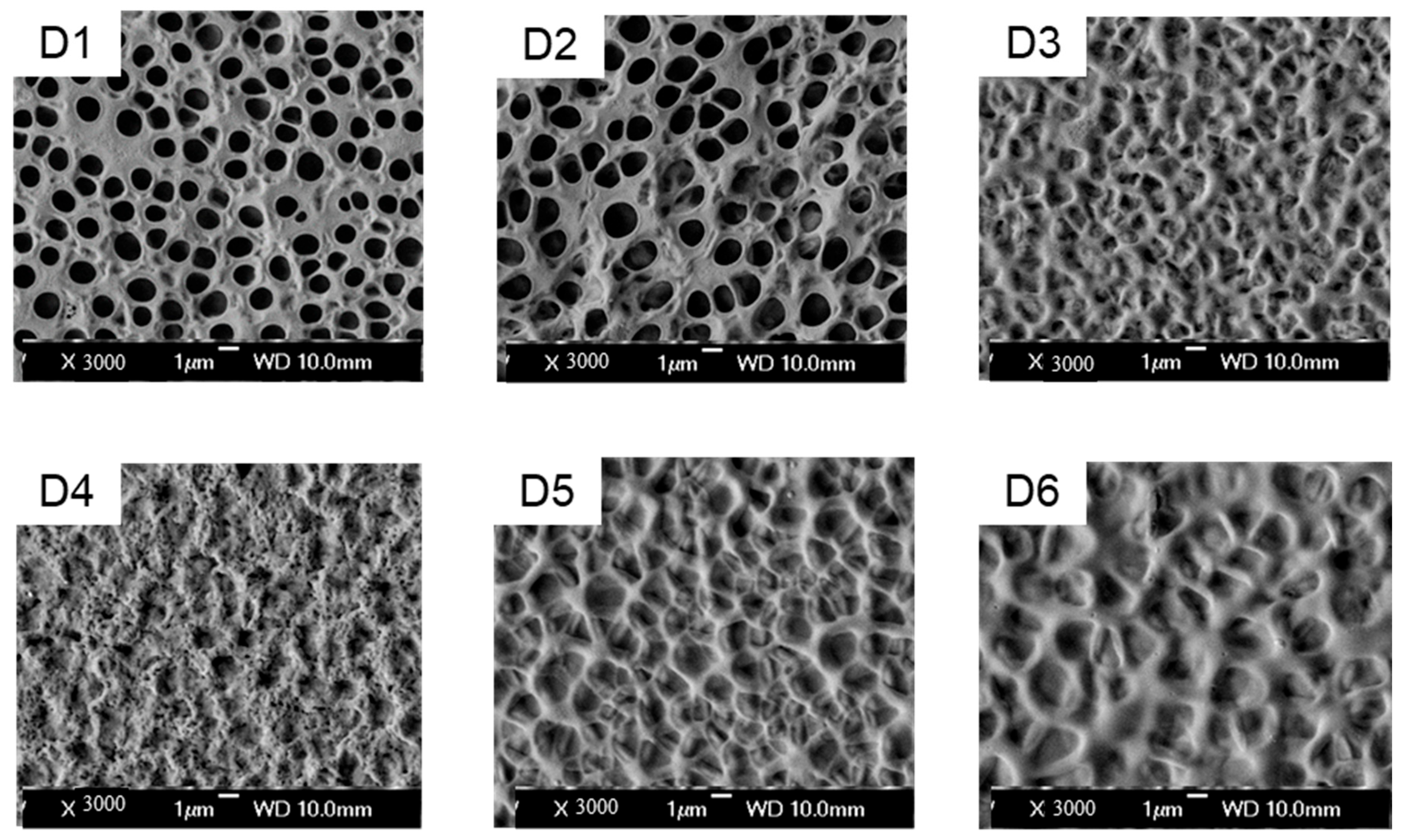 Molecules 30 02284 g004 Molecules 30 02284 g004