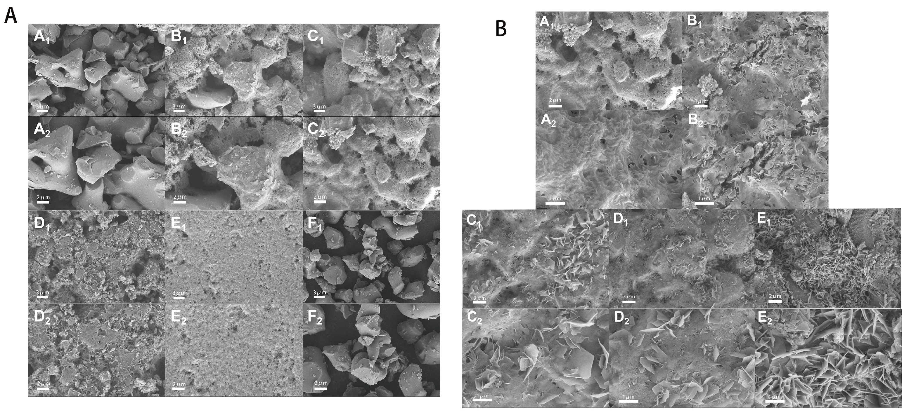 Molecules 30 02286 g002 Molecules 30 02286 g002