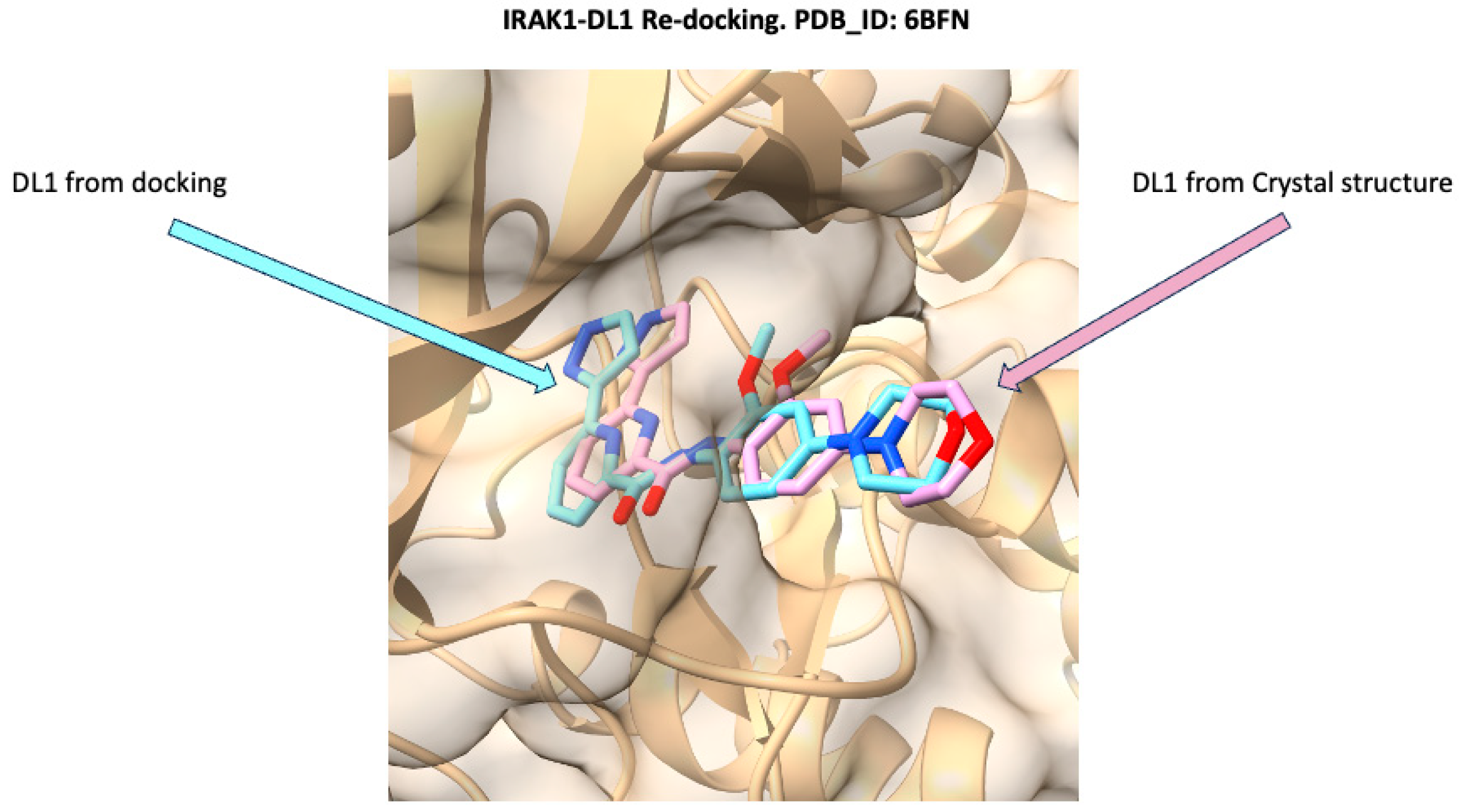 Molecules 30 02288 g002 Molecules 30 02288 g002