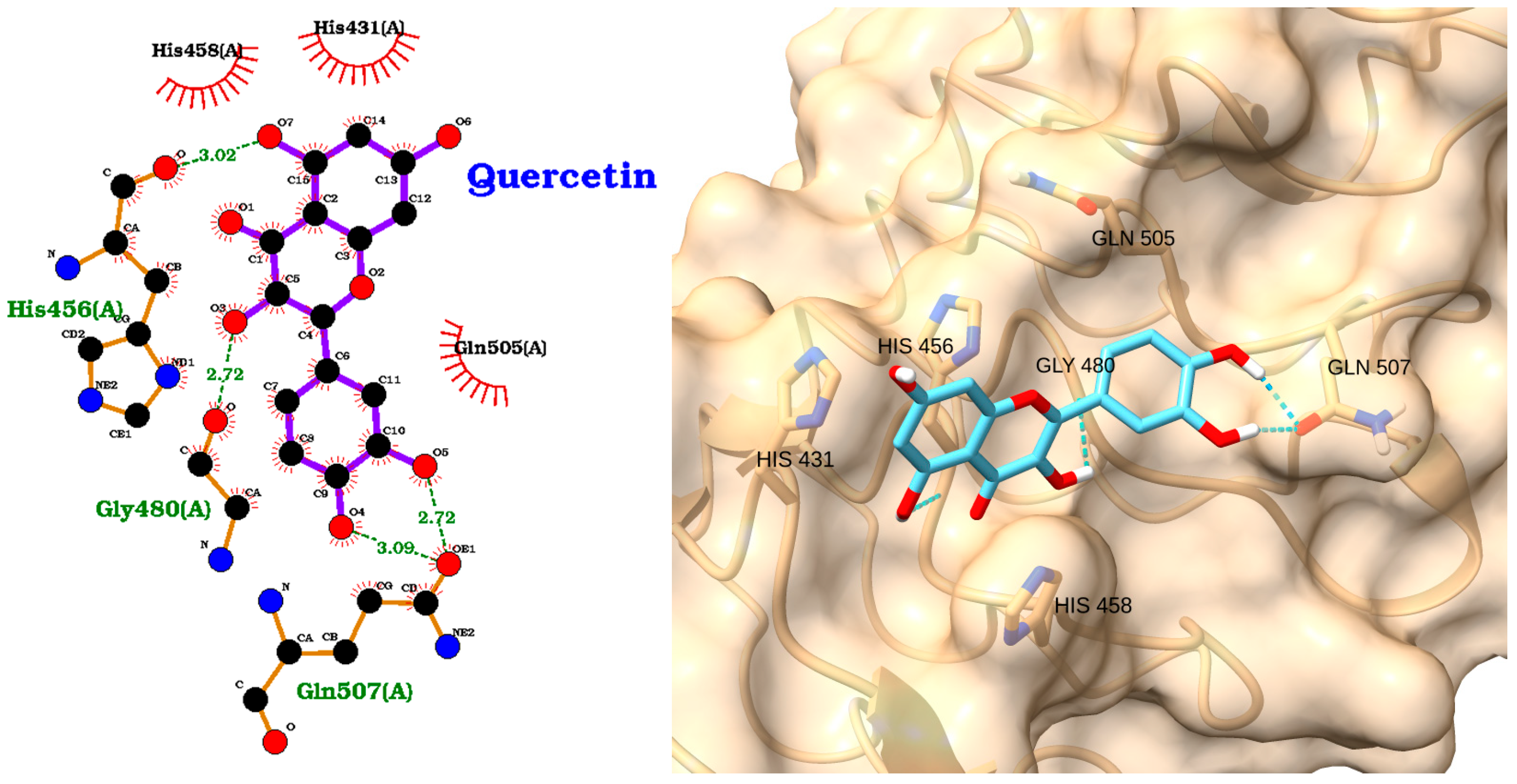 Molecules 30 02288 g003 Molecules 30 02288 g003