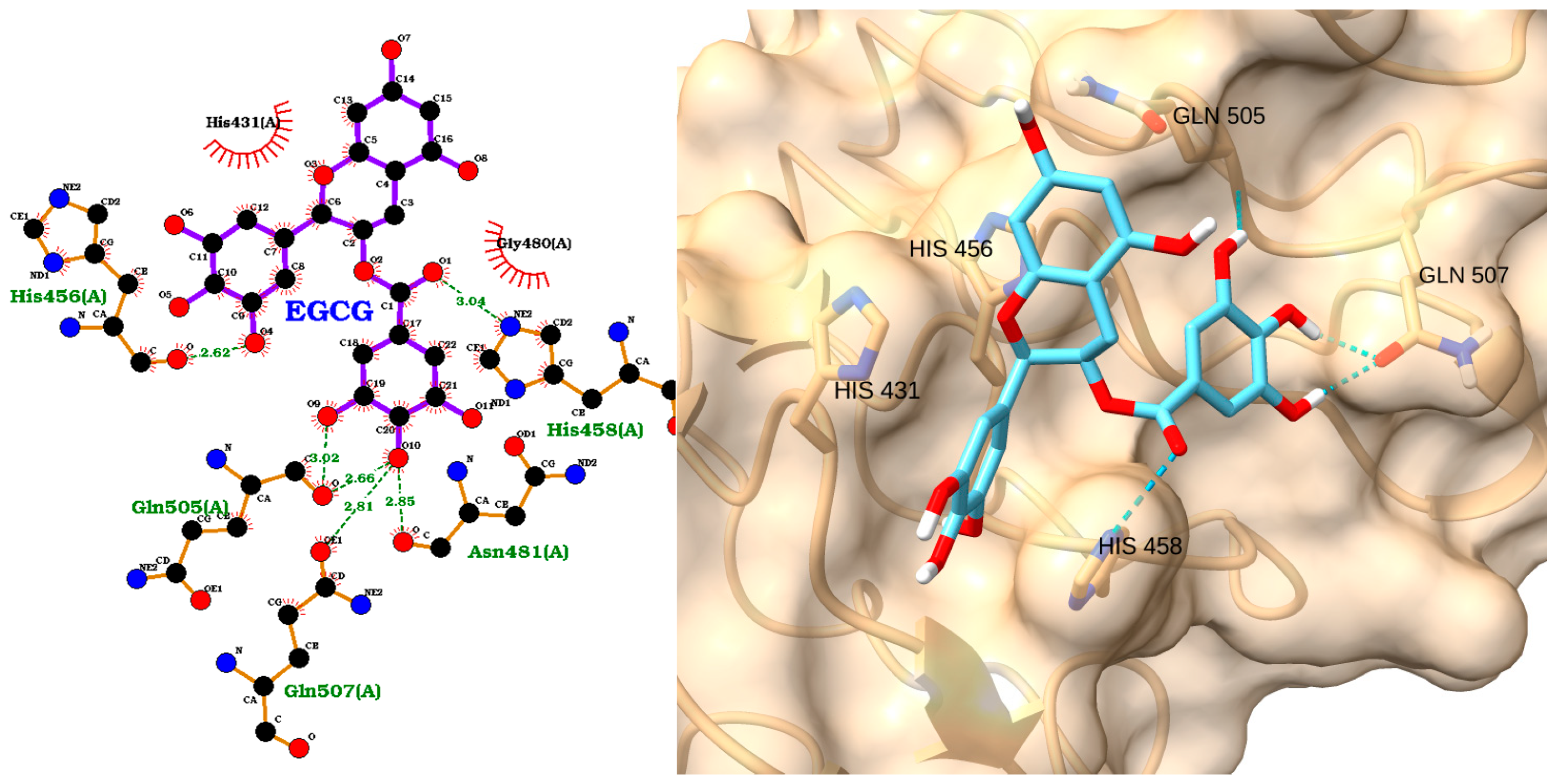 Molecules 30 02288 g004 Molecules 30 02288 g004
