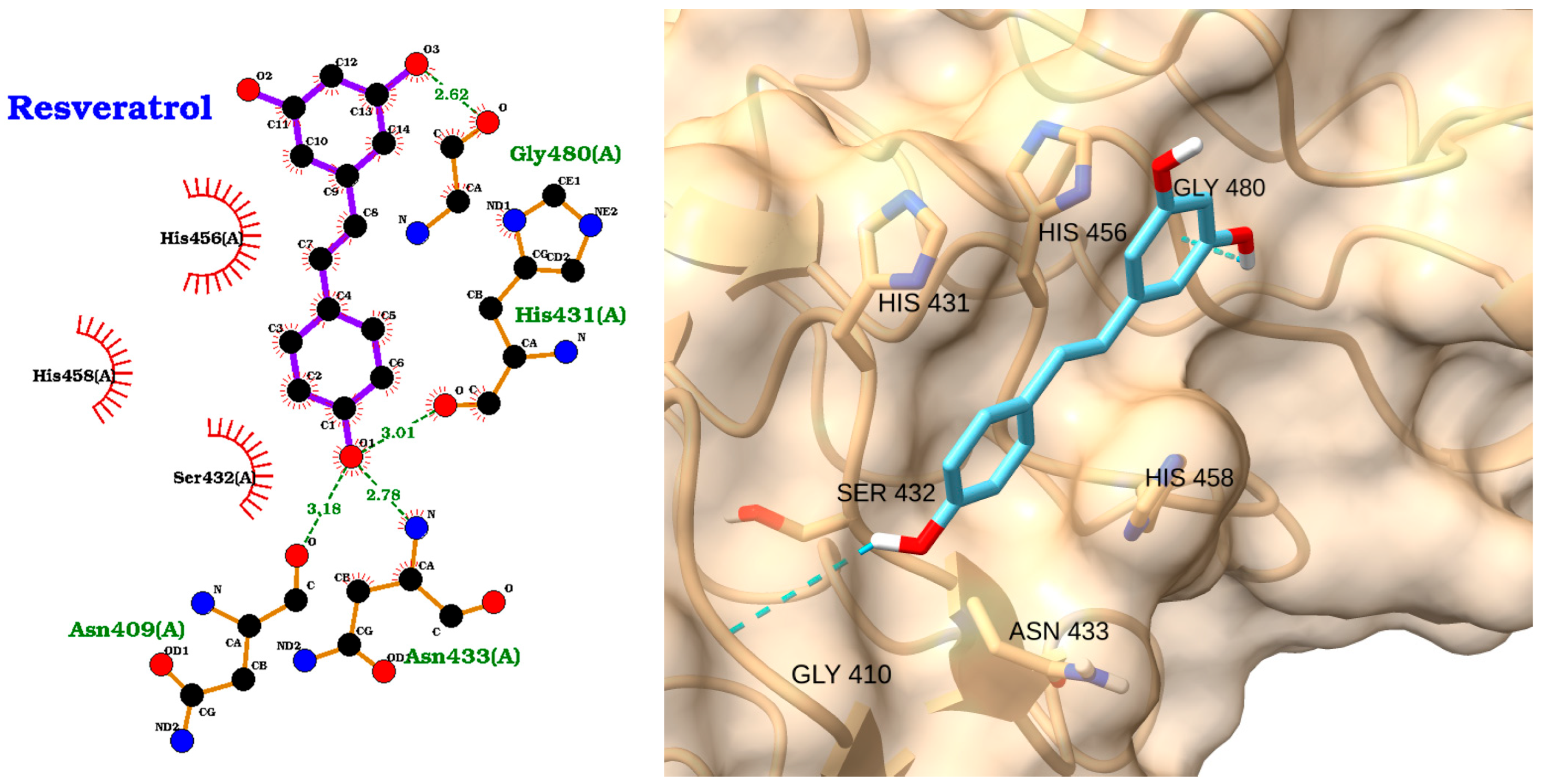 Molecules 30 02288 g005 Molecules 30 02288 g005