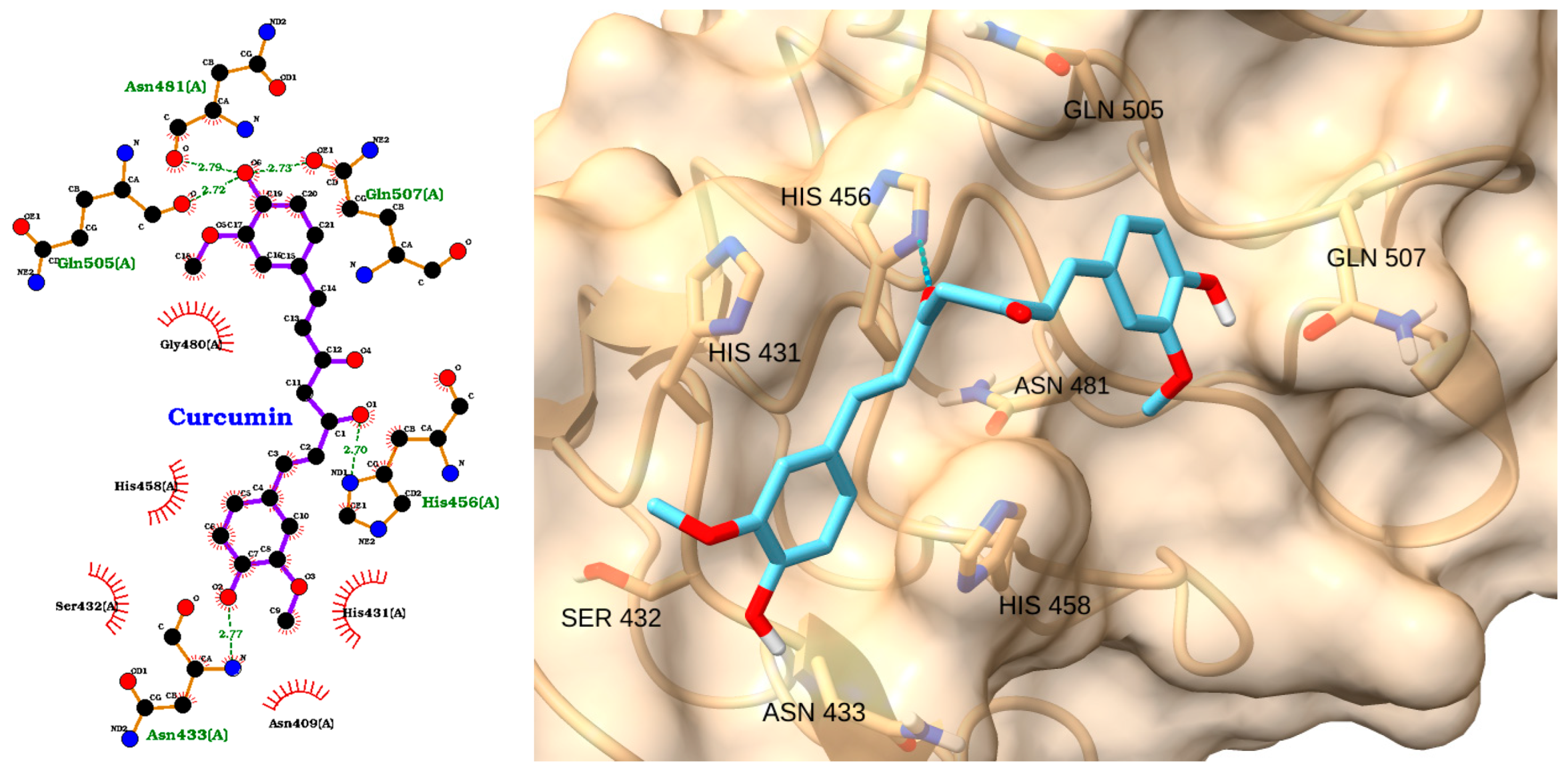 Molecules 30 02288 g006 Molecules 30 02288 g006