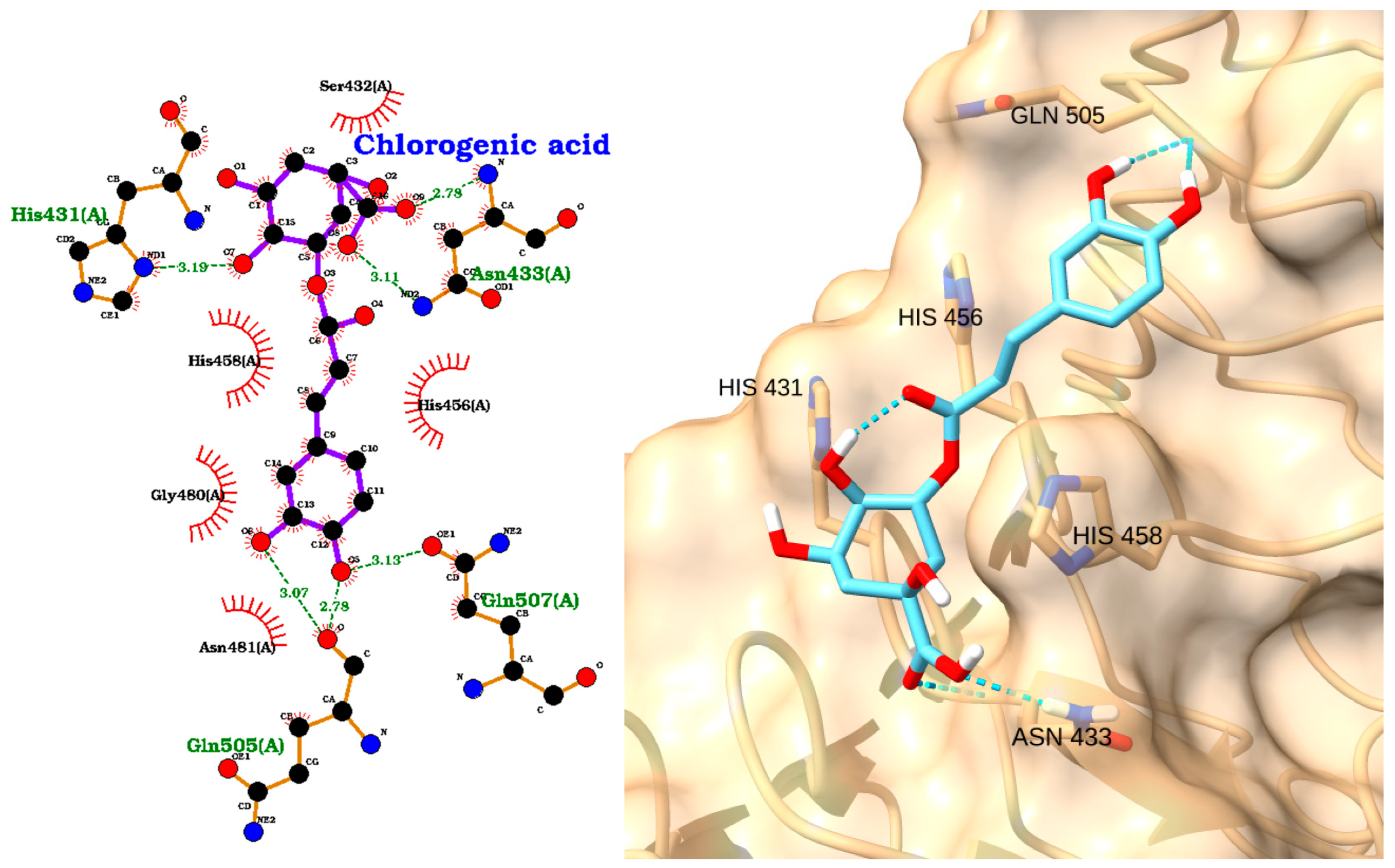Molecules 30 02288 g007 Molecules 30 02288 g007