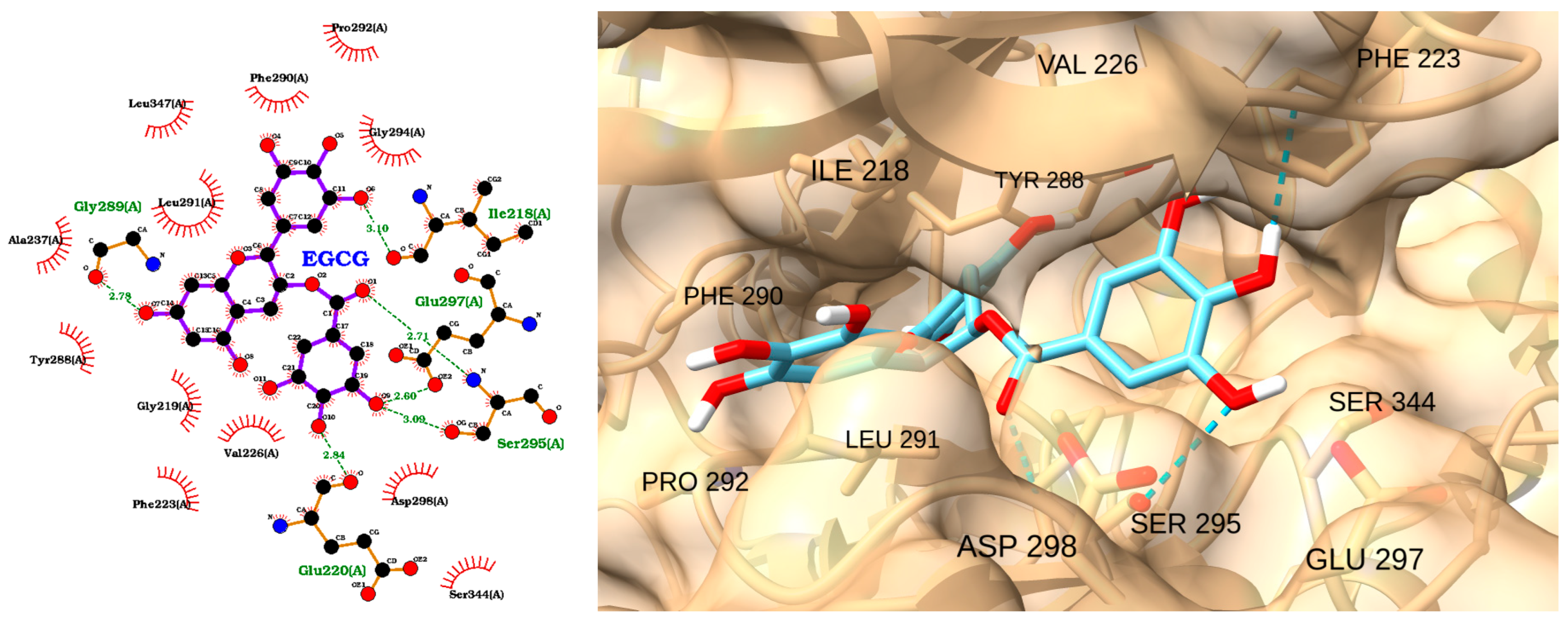 Molecules 30 02288 g009 Molecules 30 02288 g009