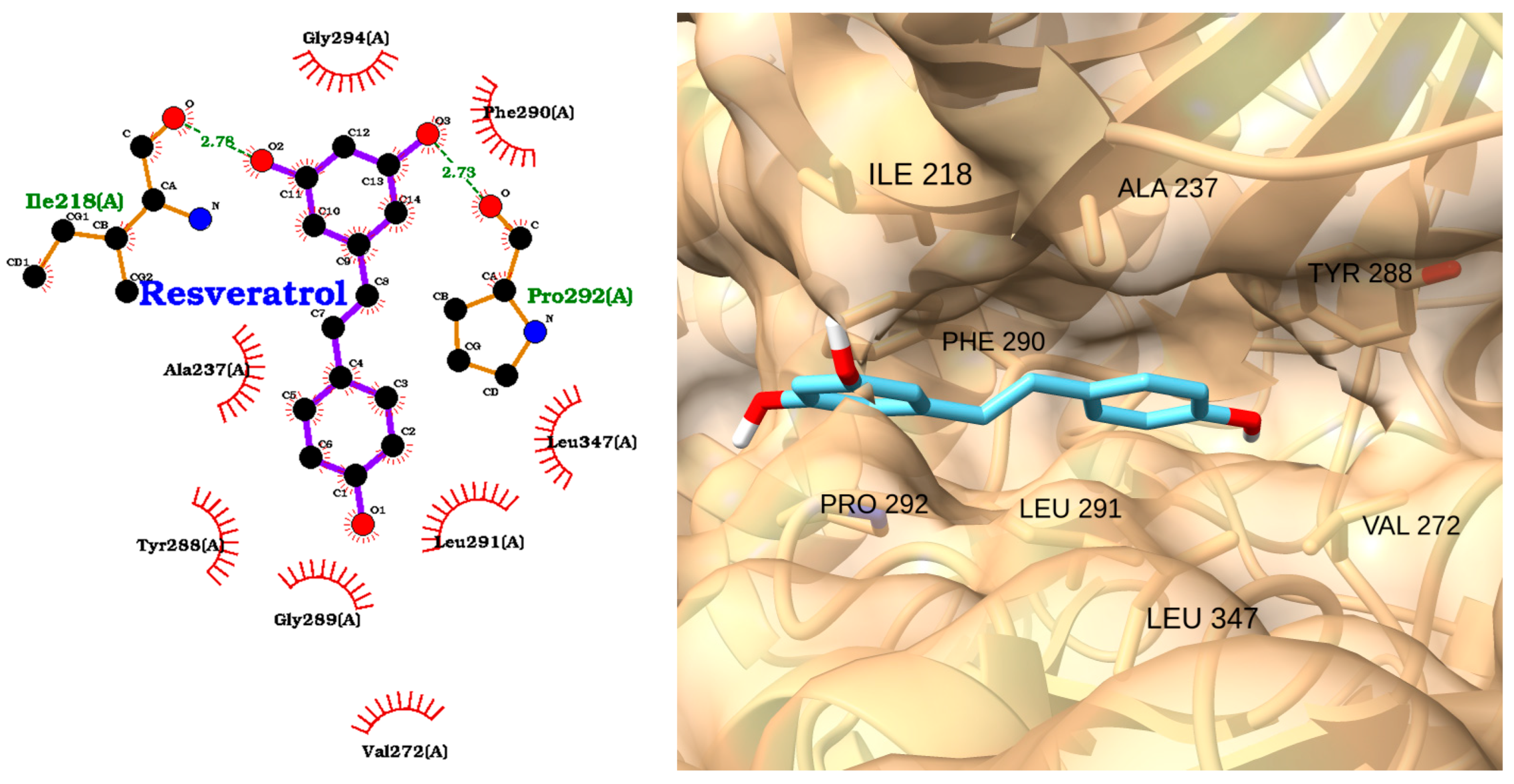 Molecules 30 02288 g010 Molecules 30 02288 g010