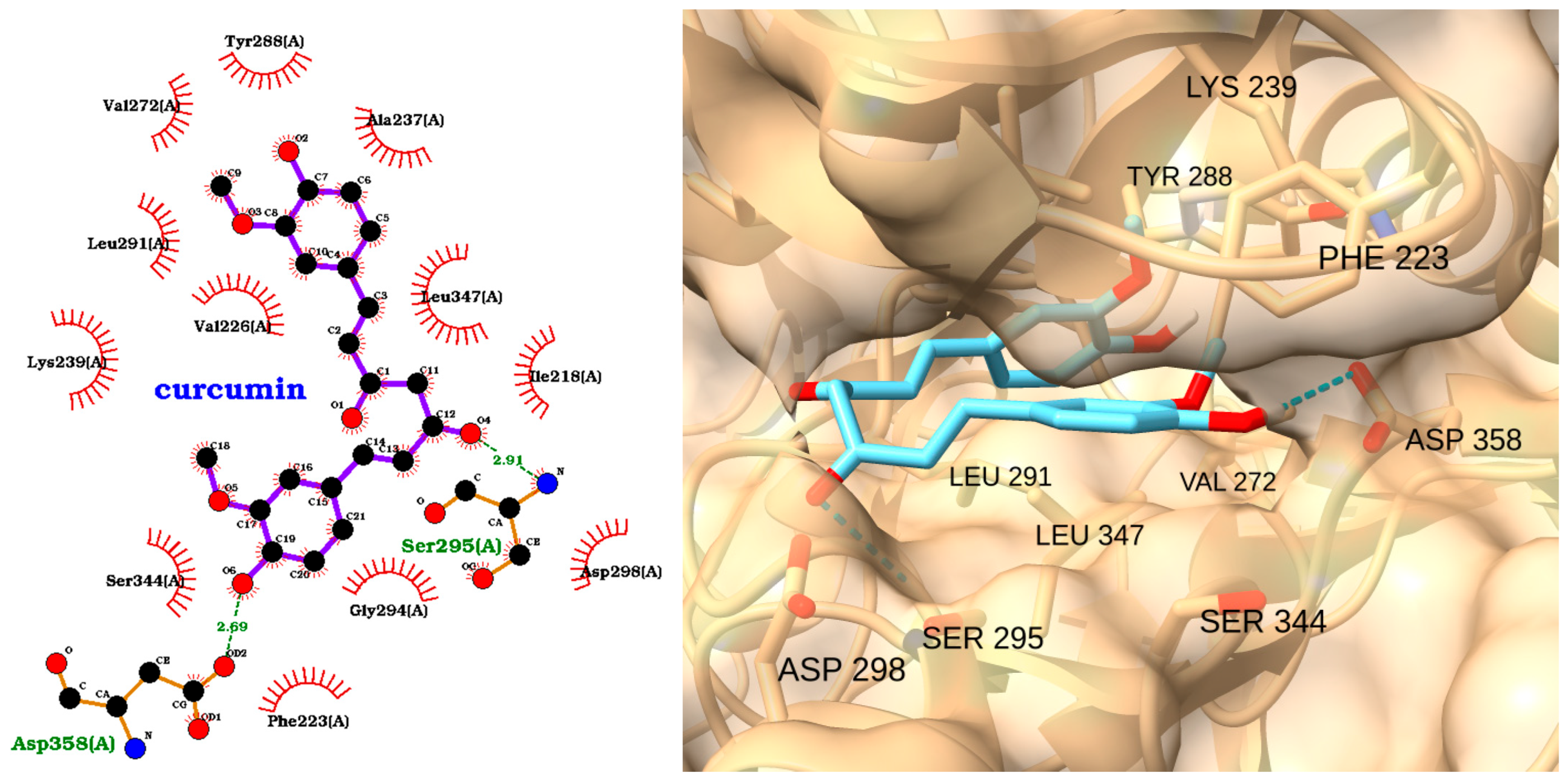 Molecules 30 02288 g011 Molecules 30 02288 g011