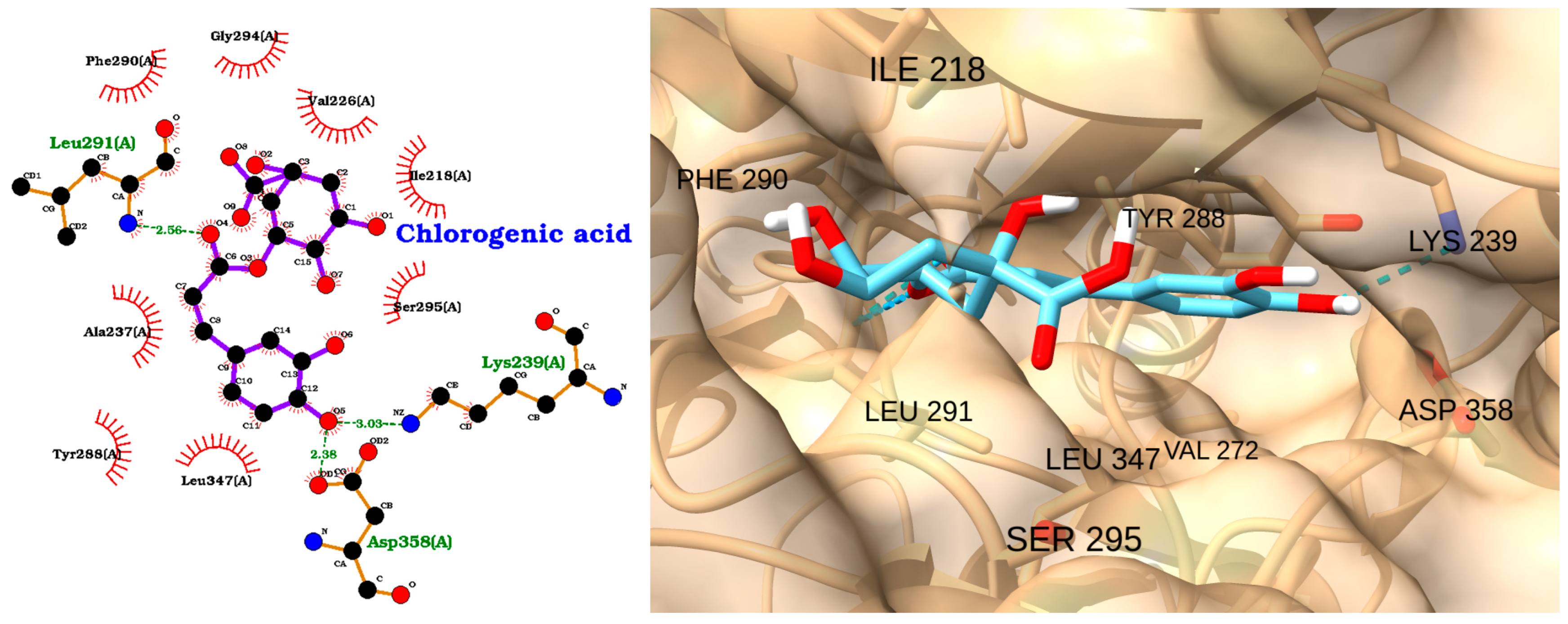 Molecules 30 02288 g012 Molecules 30 02288 g012