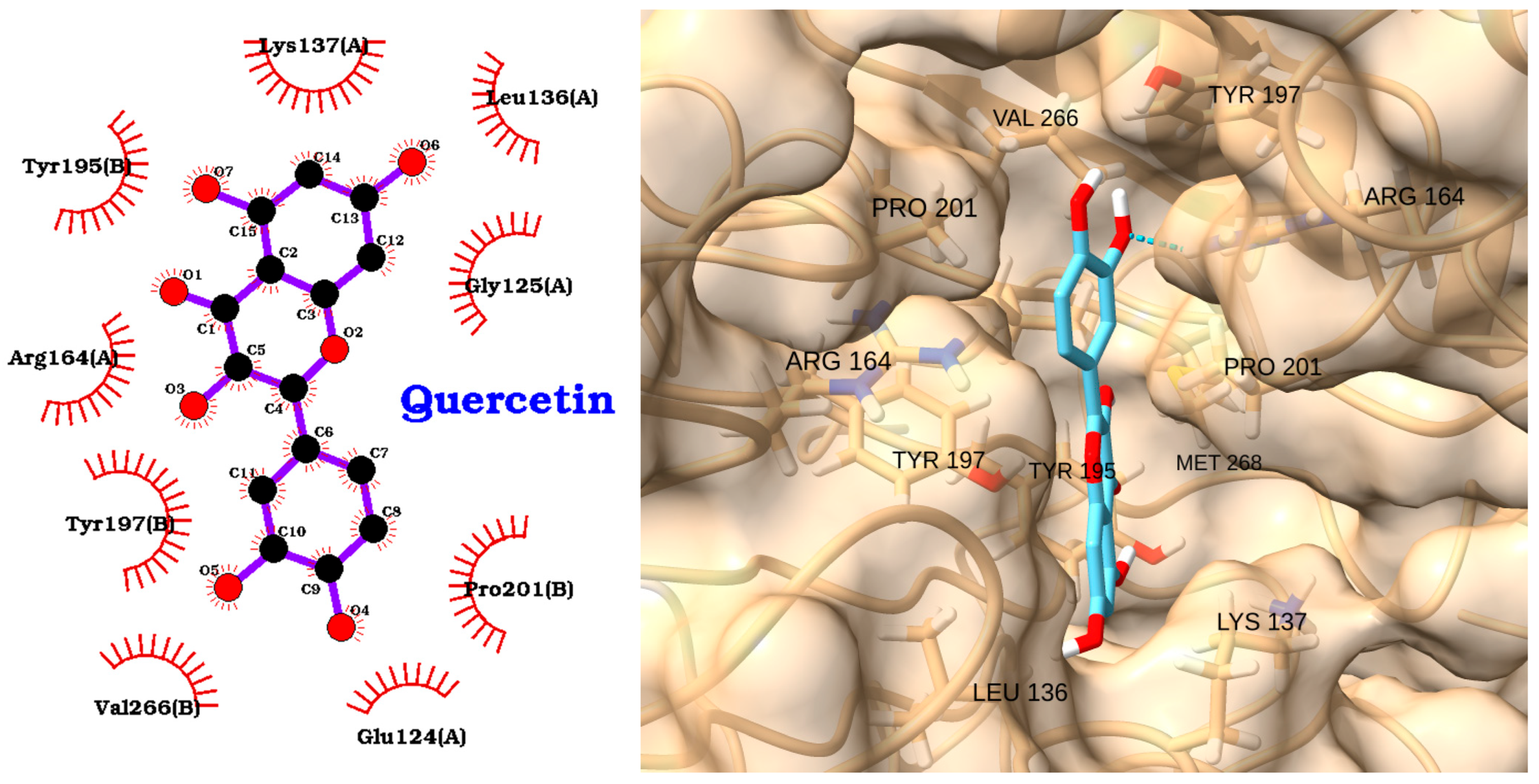 Molecules 30 02288 g013 Molecules 30 02288 g013