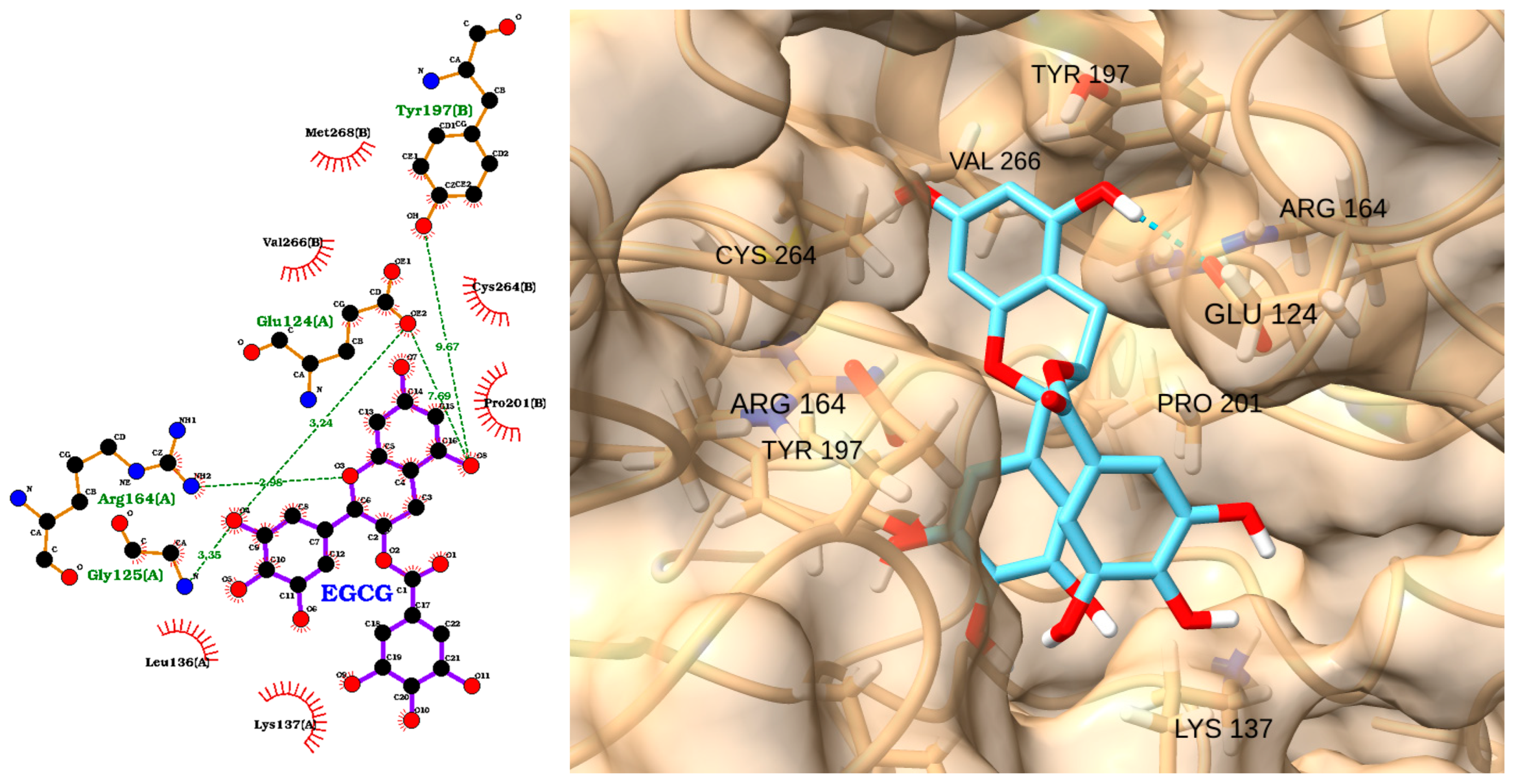 Molecules 30 02288 g014 Molecules 30 02288 g014