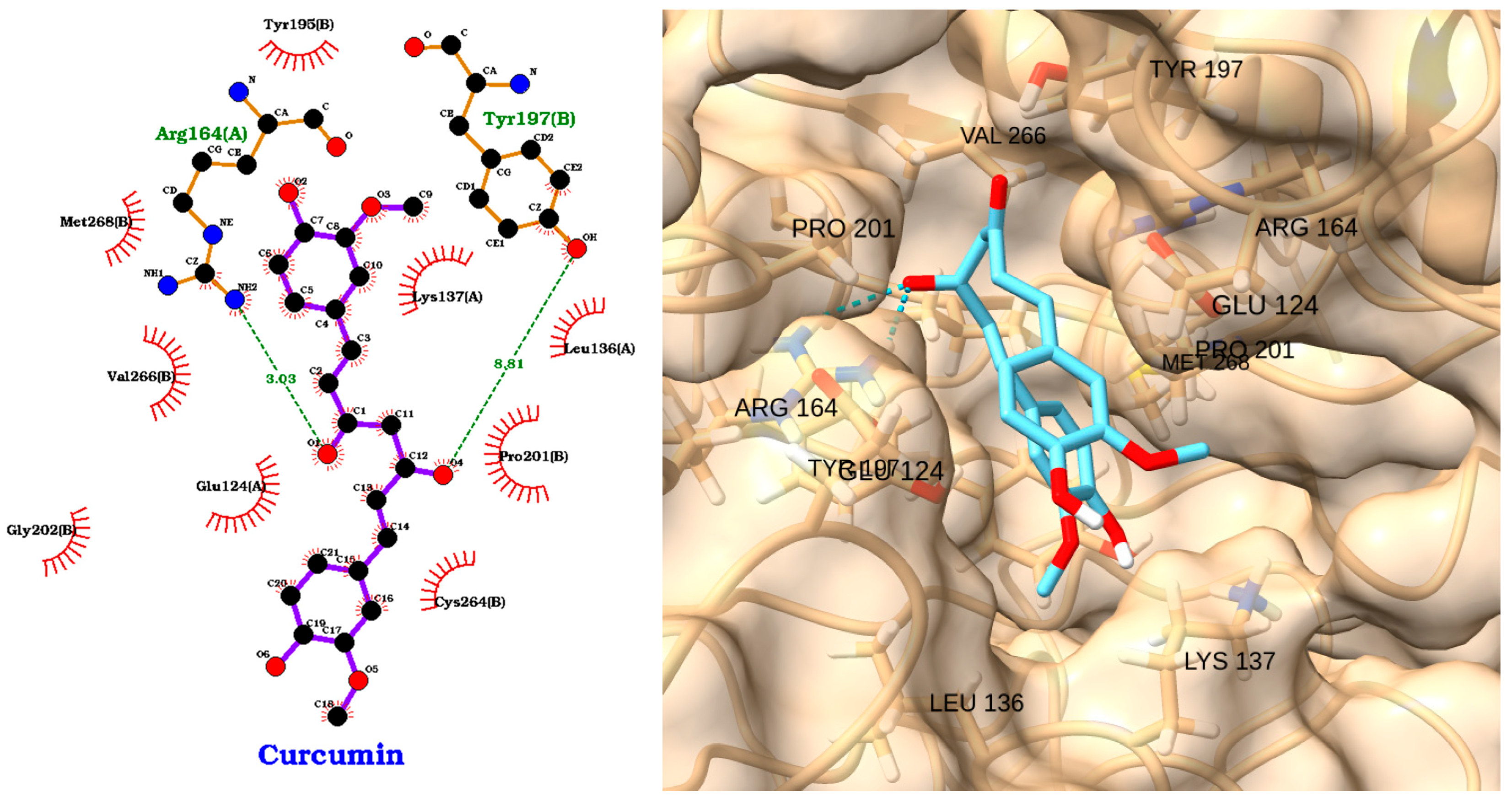 Molecules 30 02288 g016 Molecules 30 02288 g016