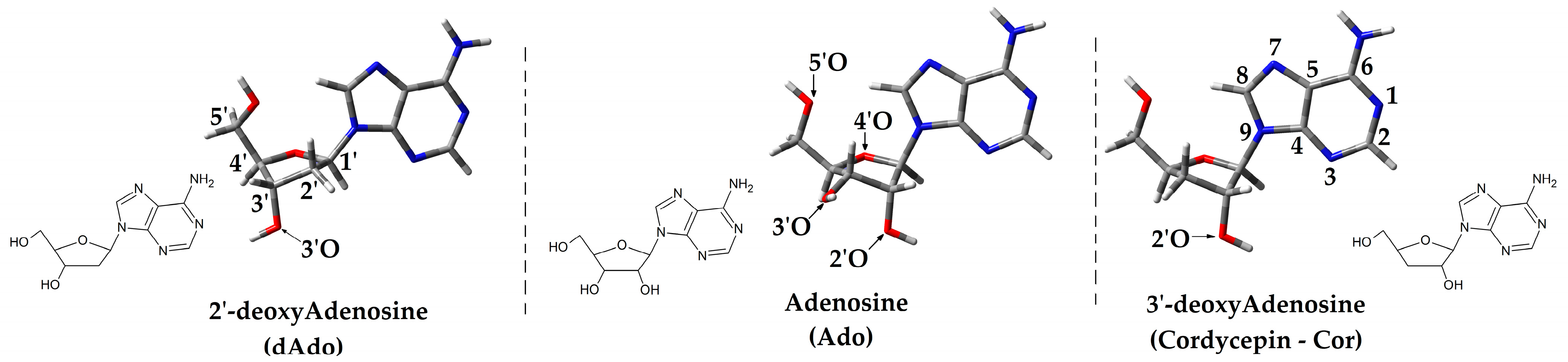 Molecules 30 02289 g001