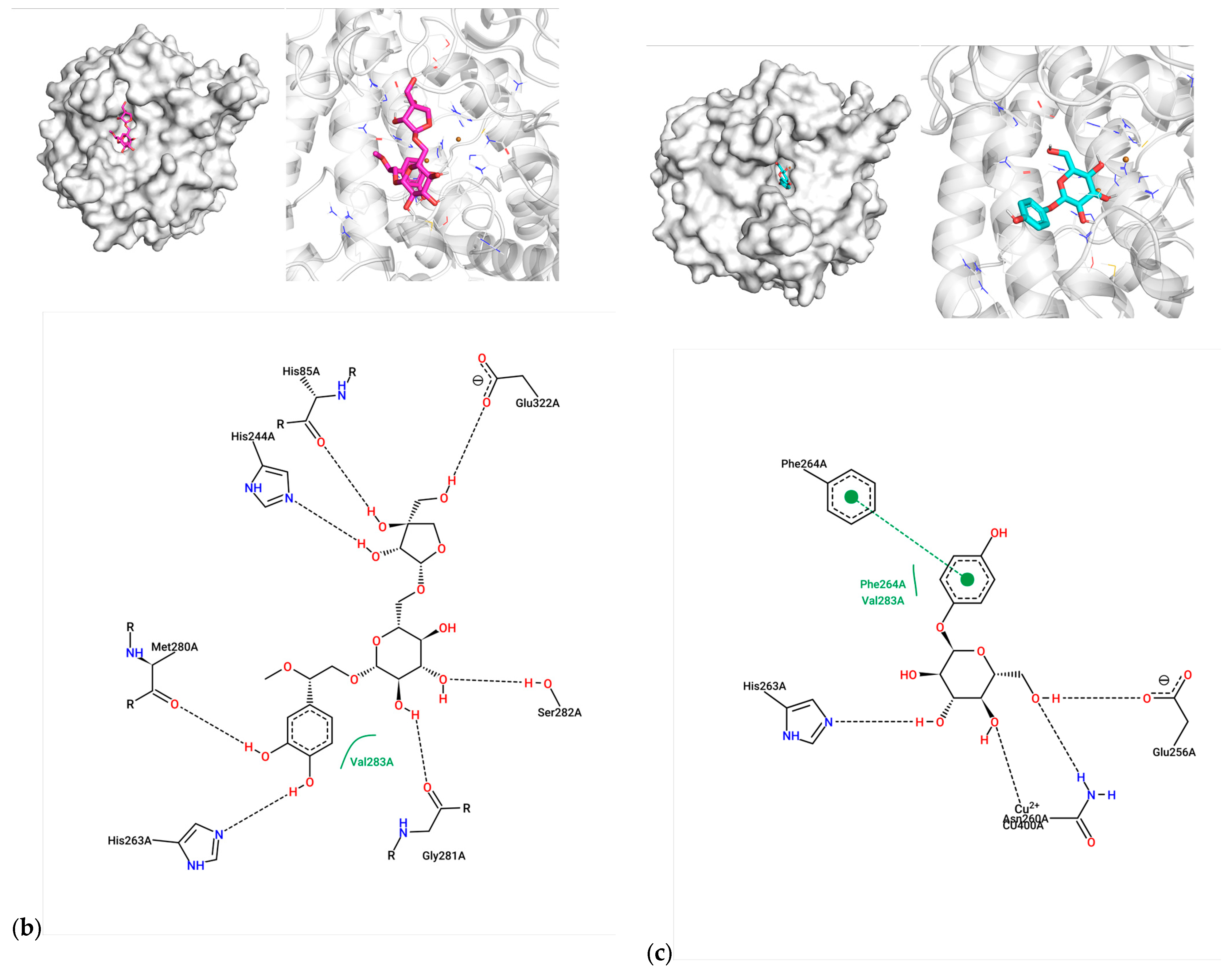 Molecules 30 02296 g002b