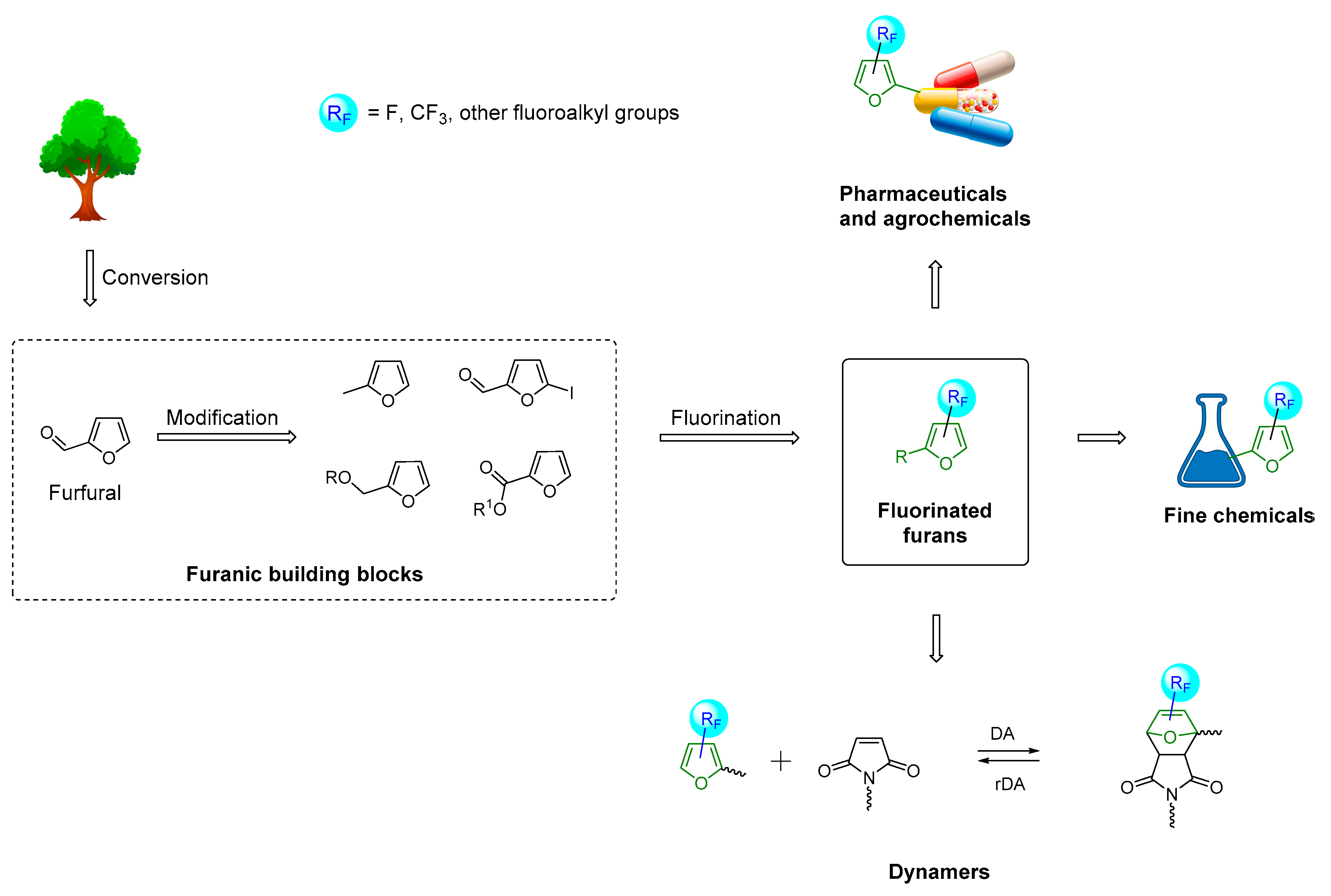 Molecules 30 02305 sch001