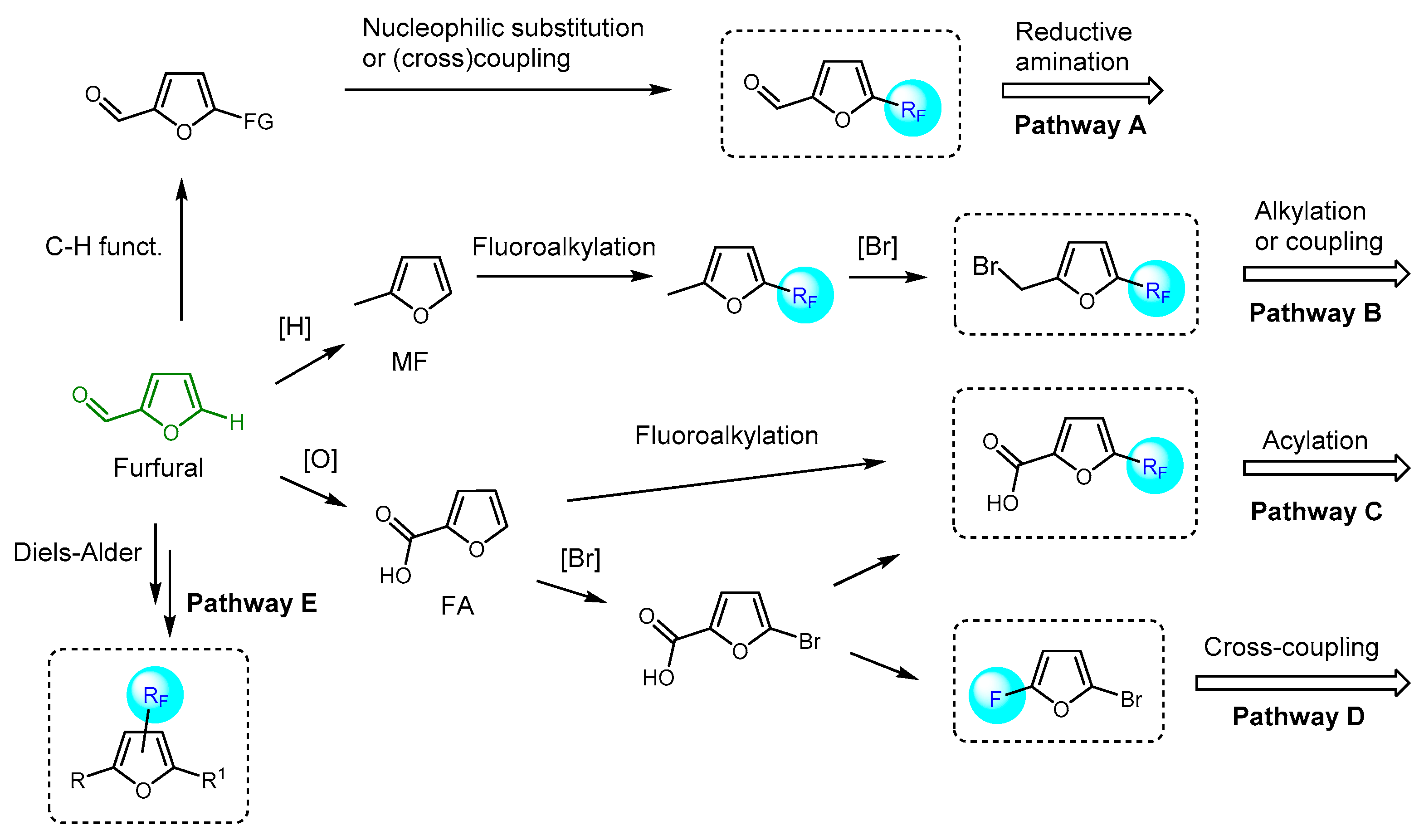 Molecules 30 02305 sch004