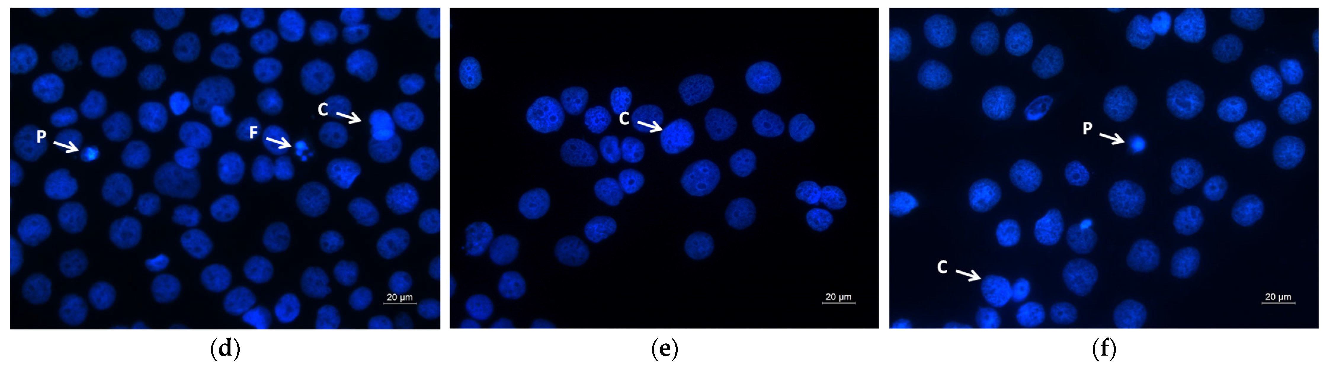 Molecules 30 02307 g010b Molecules 30 02307 g010b