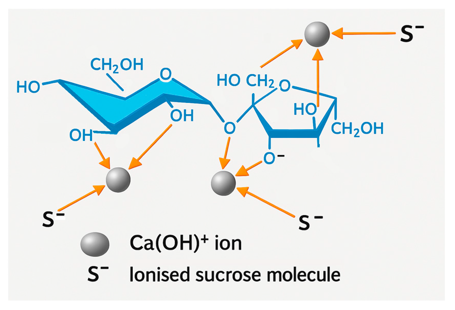 Molecules 30 02308 g001