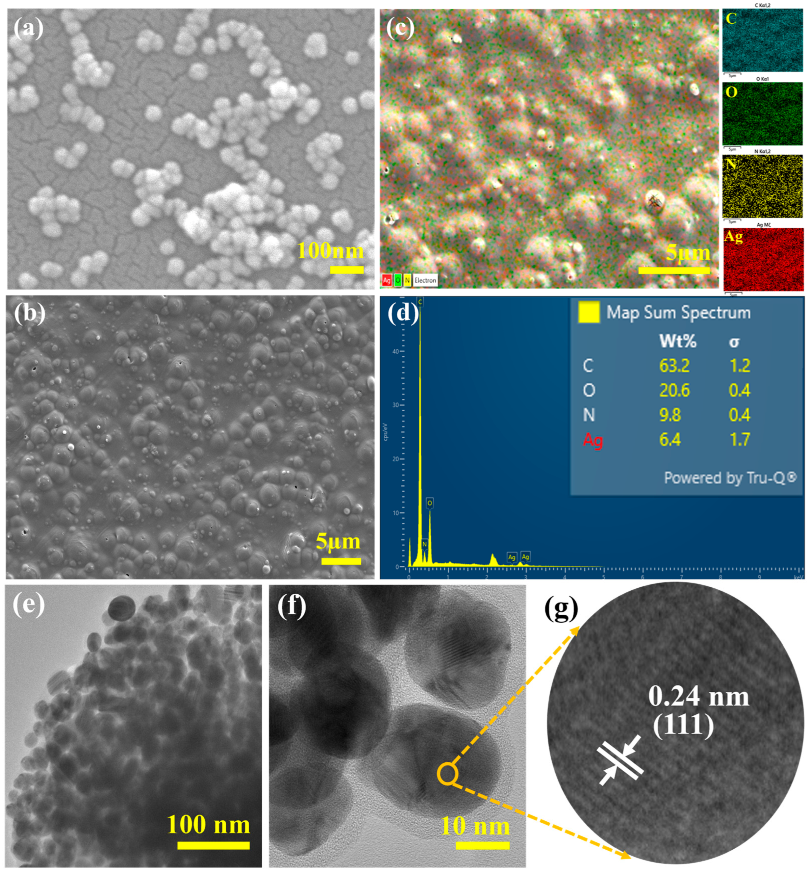 Molecules 30 02311 g001 Molecules 30 02311 g001