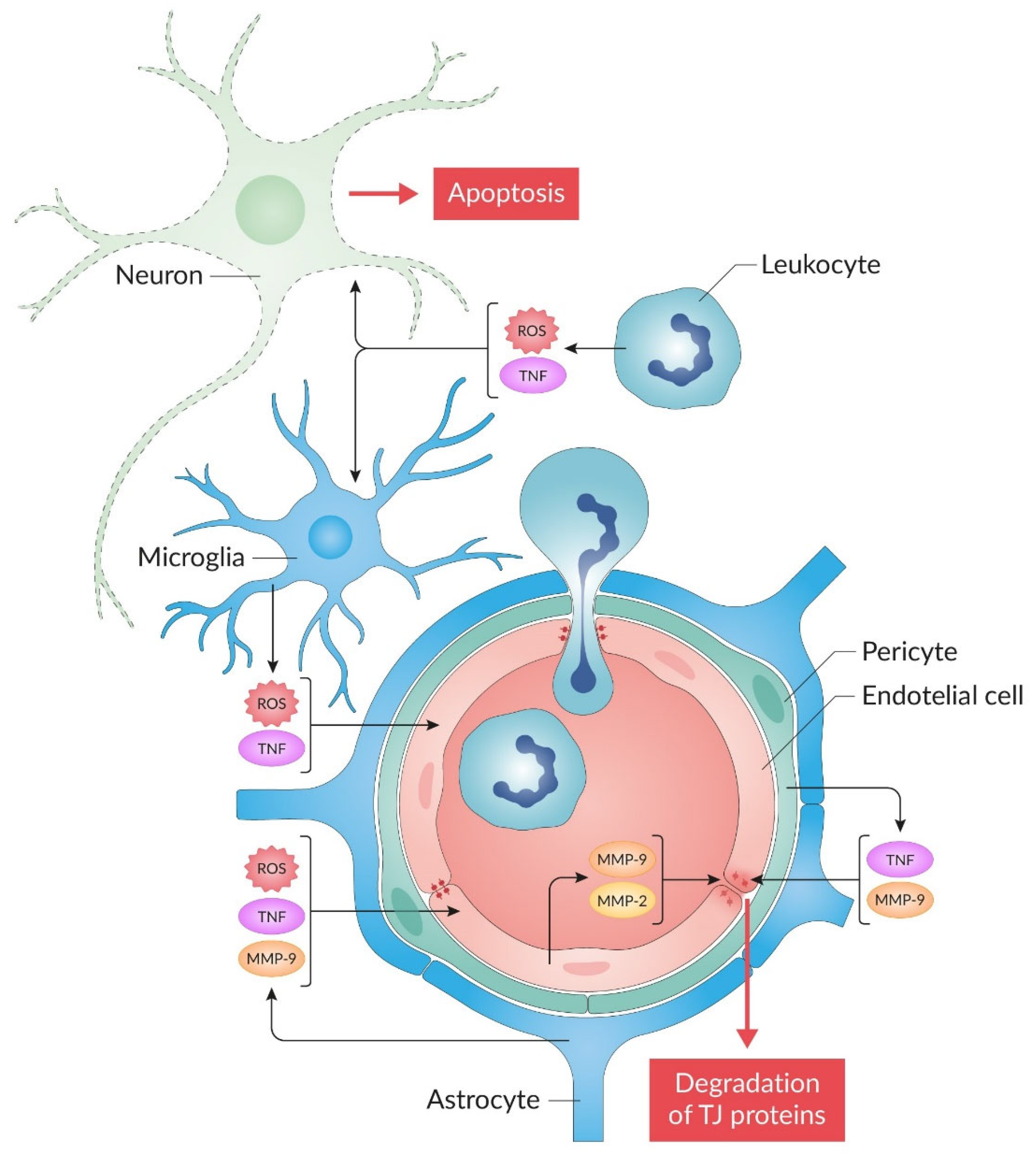 Molecules 30 02353 g001