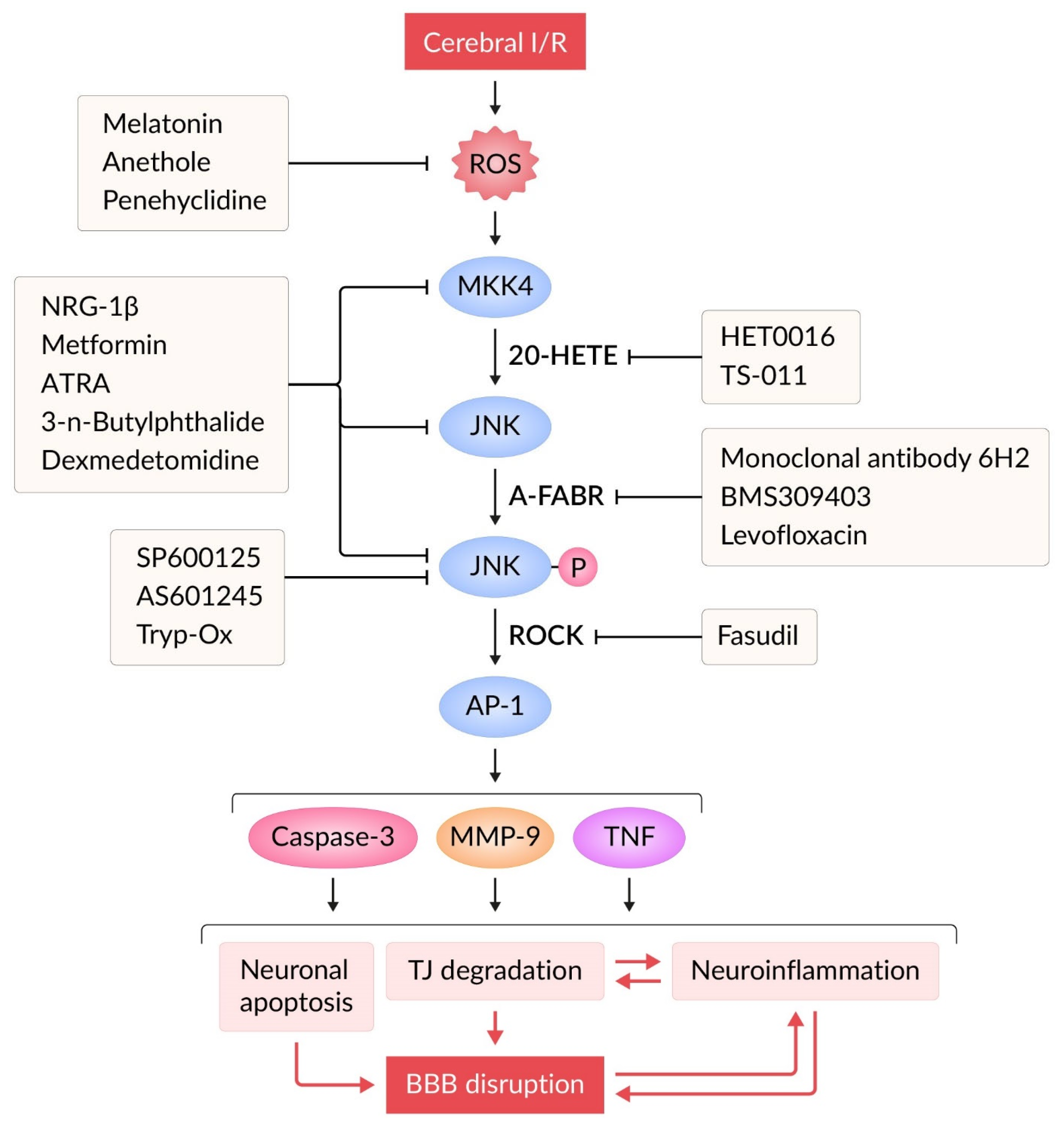 Molecules 30 02353 g002