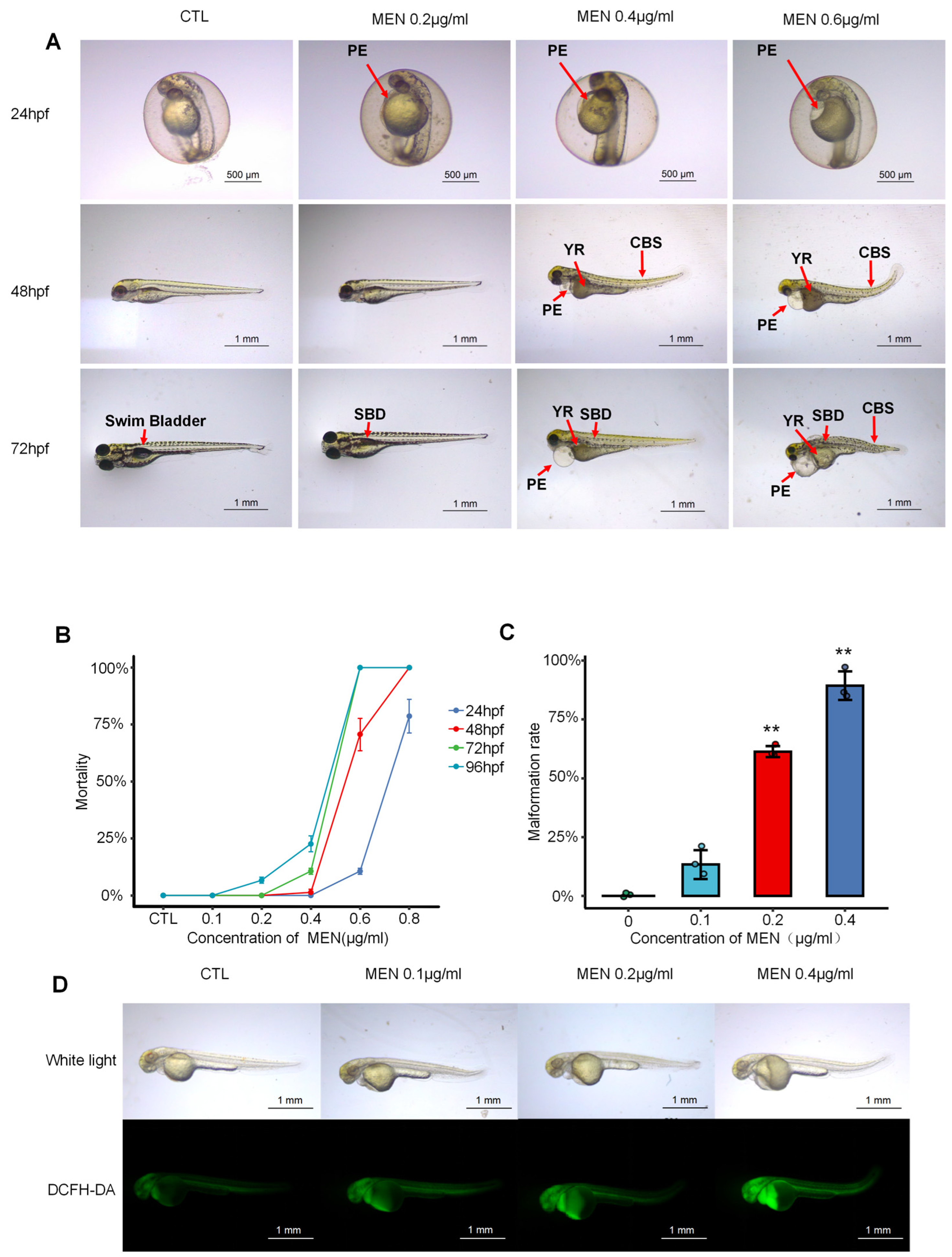 Molecules 30 02355 g001