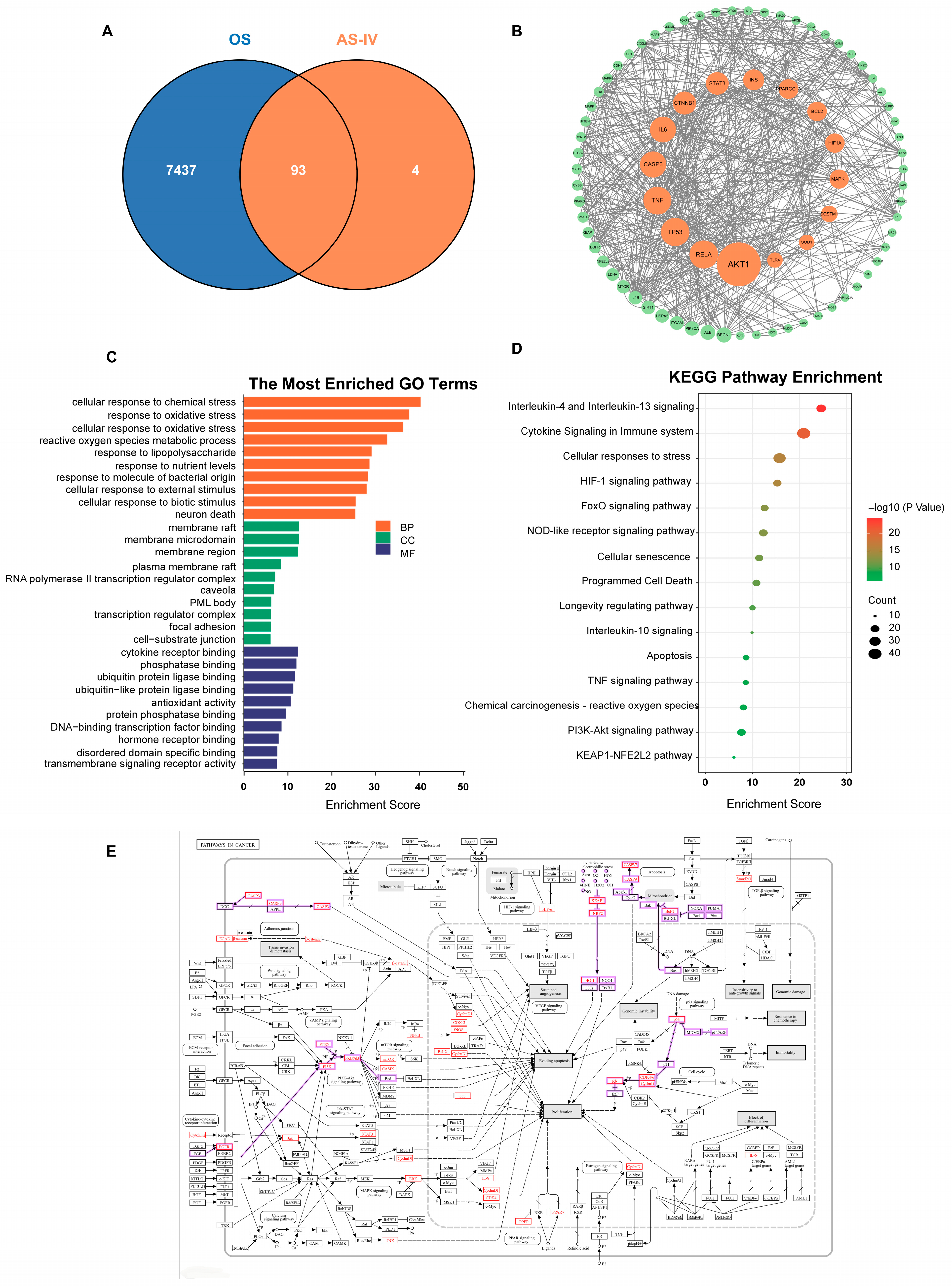 Molecules 30 02355 g004