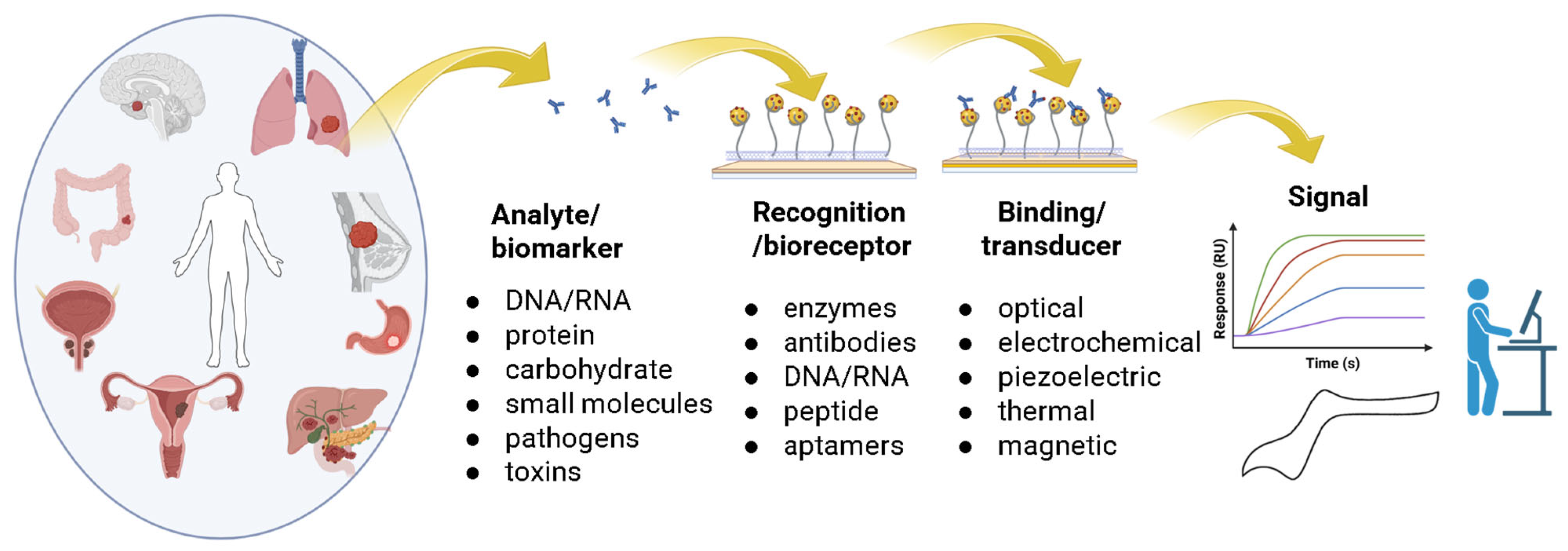 Molecules 30 02364 g004 Molecules 30 02364 g004